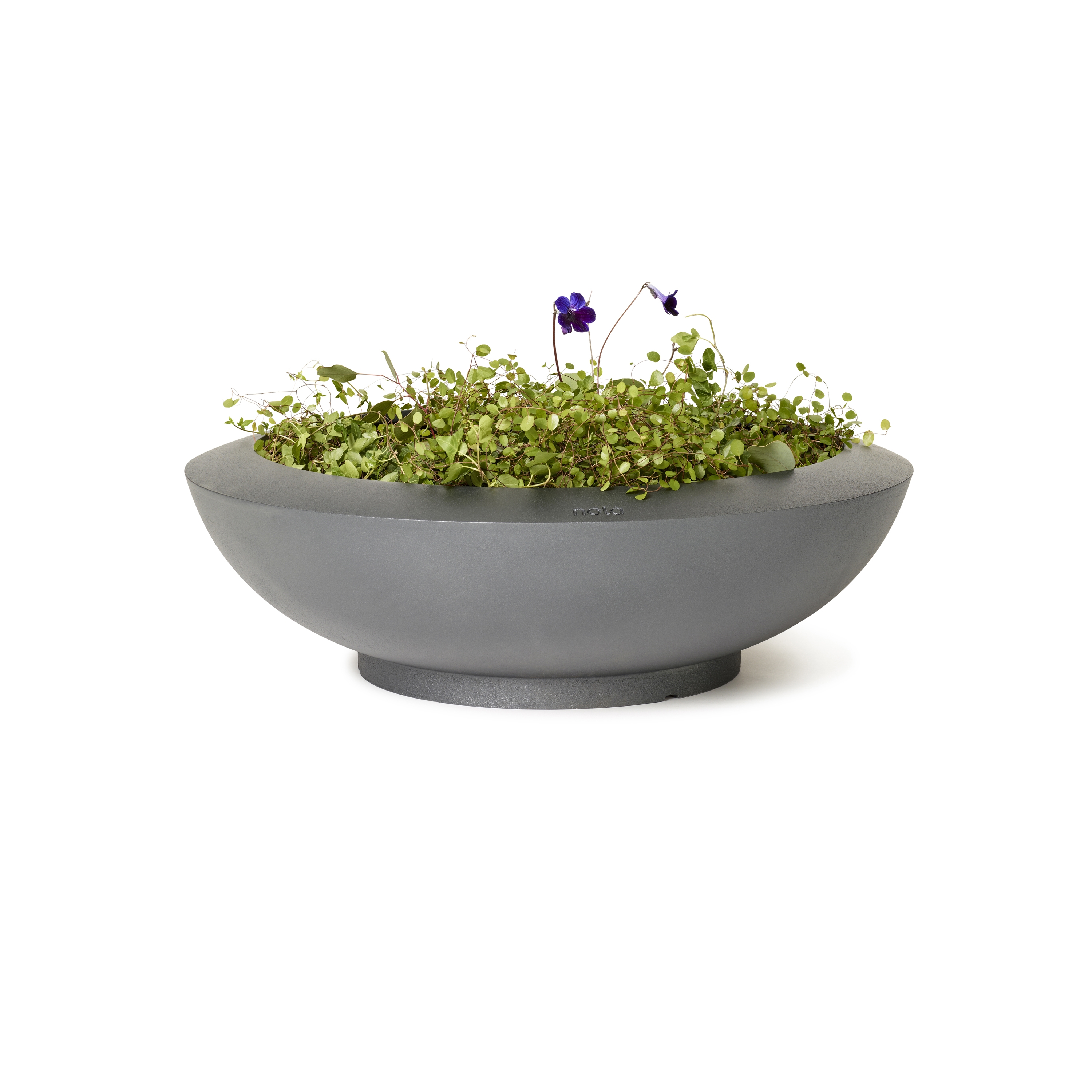 Display product Sake planter from manufacturer nola