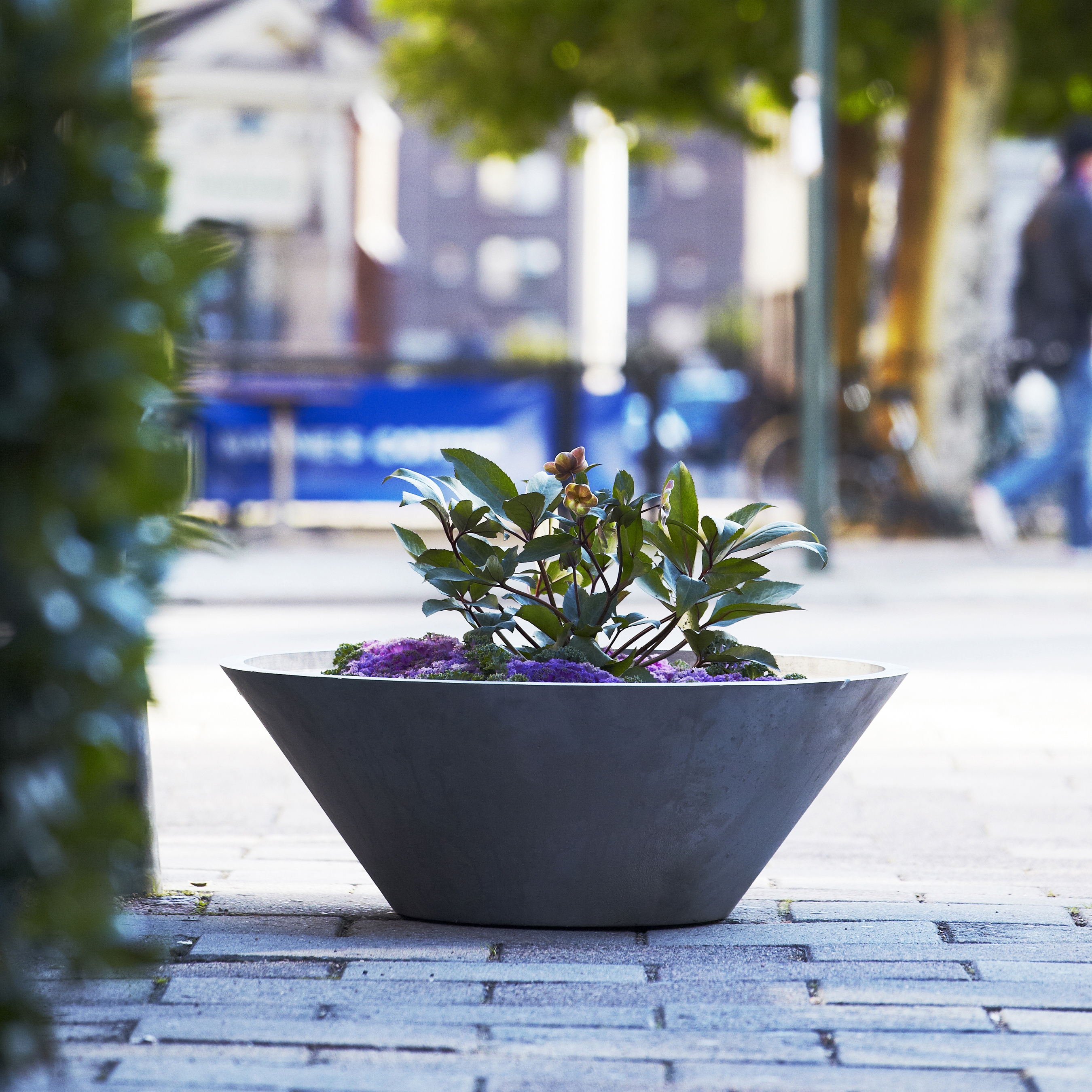 Mostra il prodotto ABC planter del produttore nola