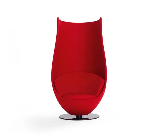 Cappellini - Wanders' Tulip Chair