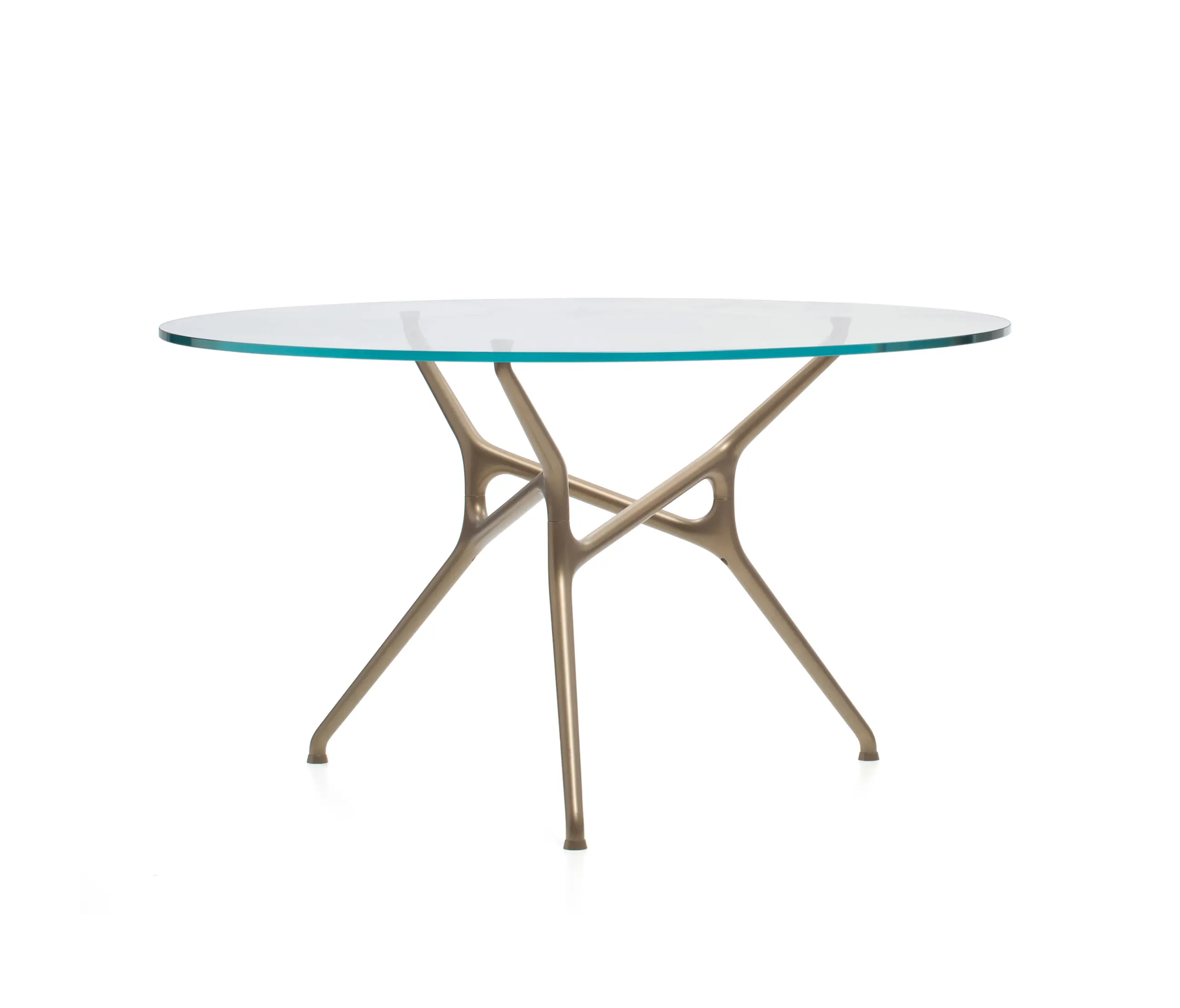 Cappellini - Branch Bronzo