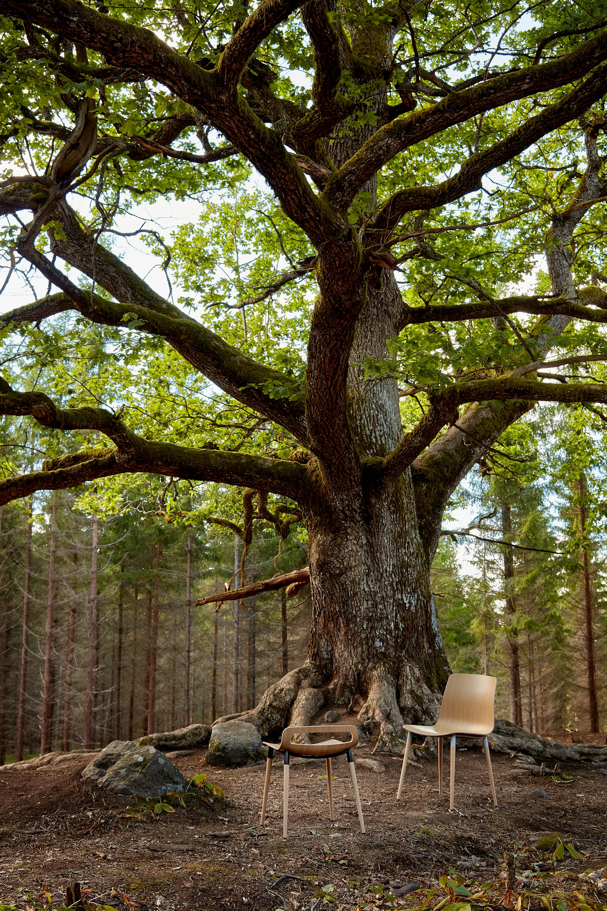 Piiroinen - Pi Chair C.6