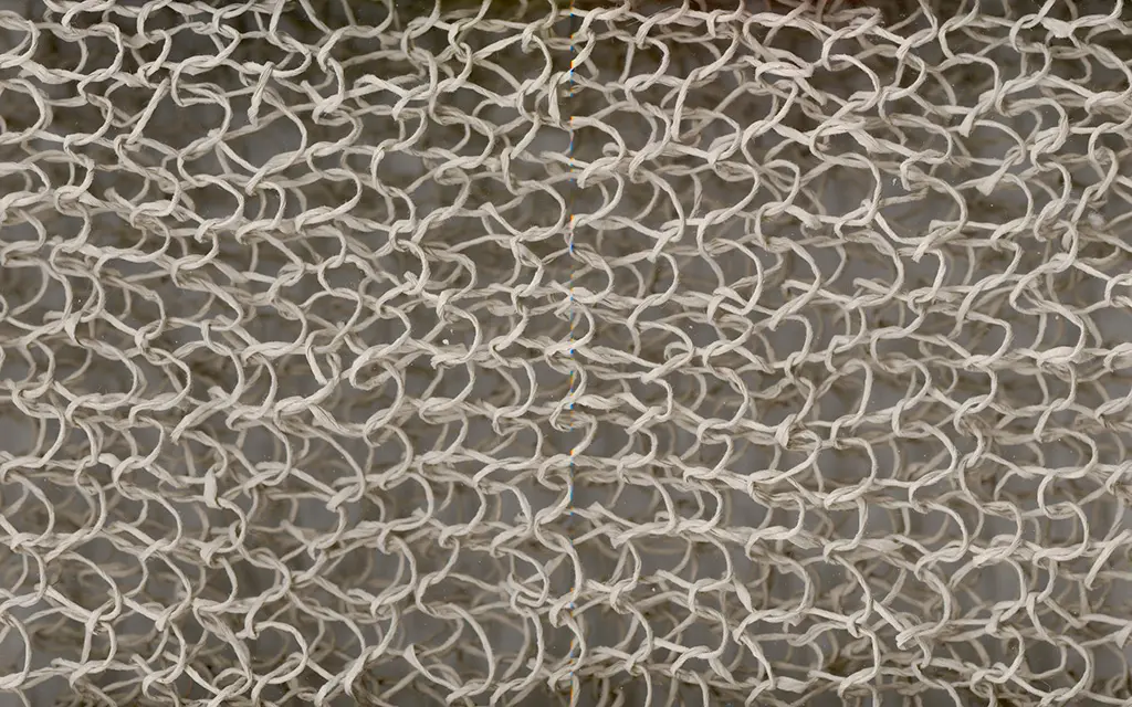 Woodnotes - Veil | stone