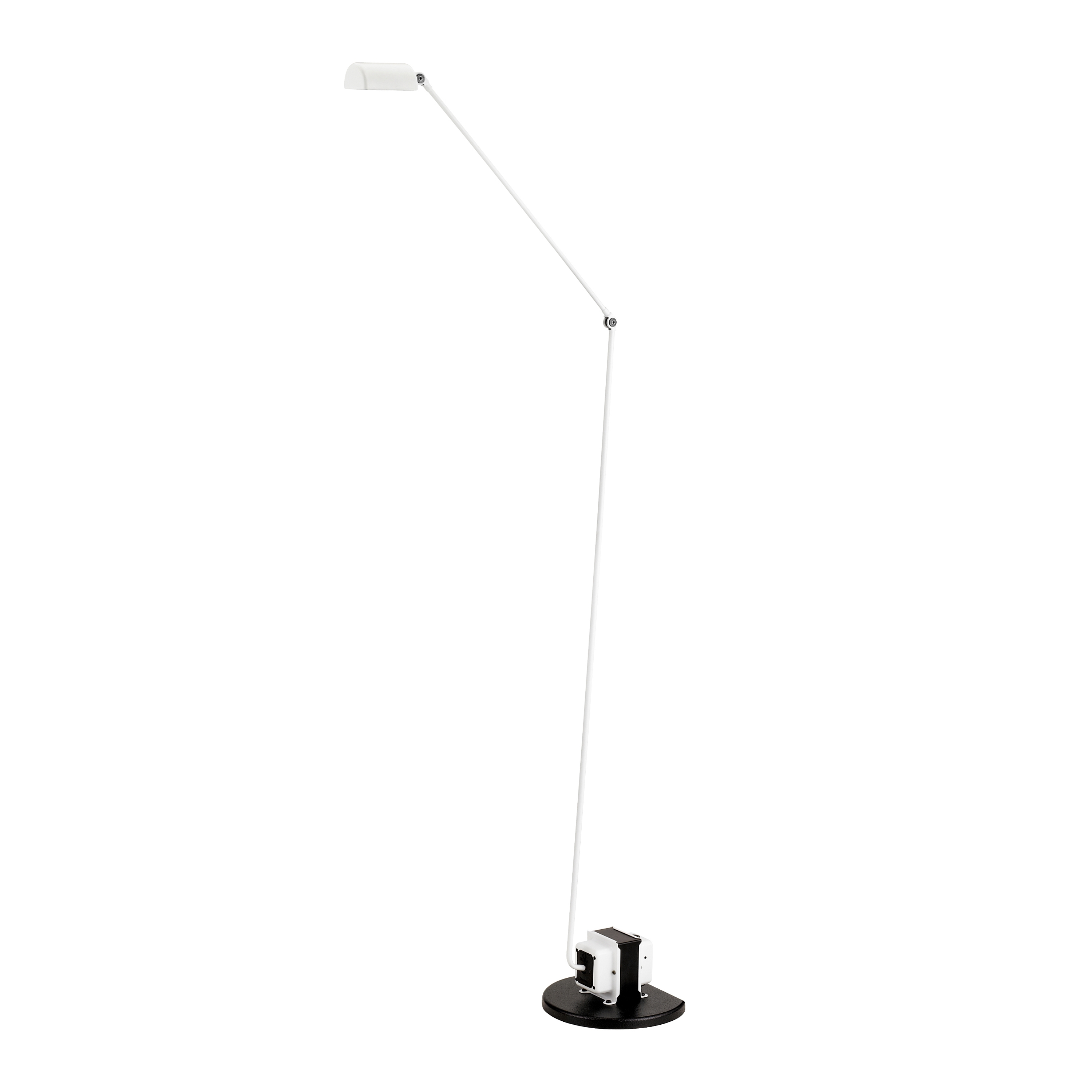 Daphine Terra Classic | Matt White