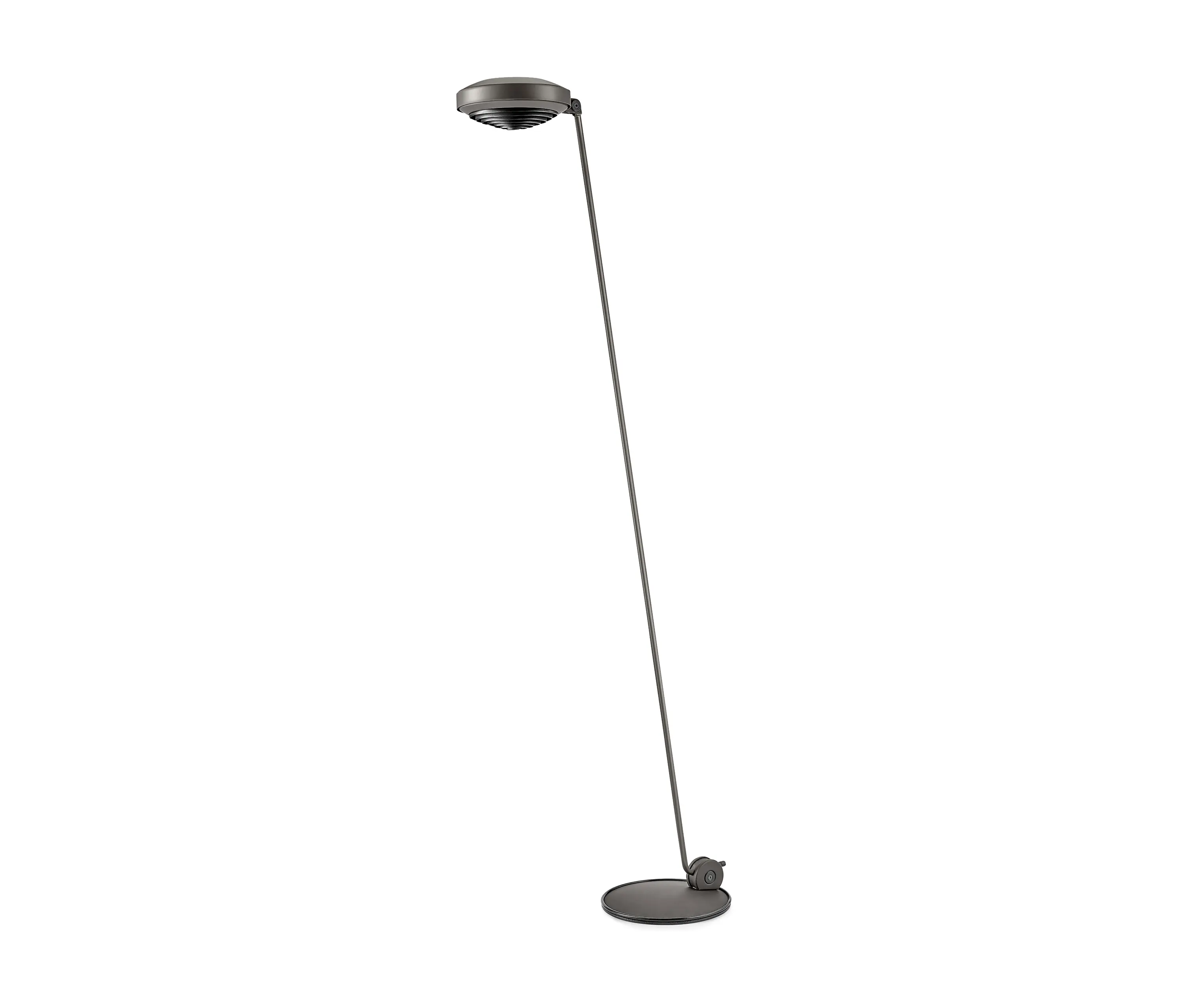 LUMINA - Elle 1 | Metallic Bronze