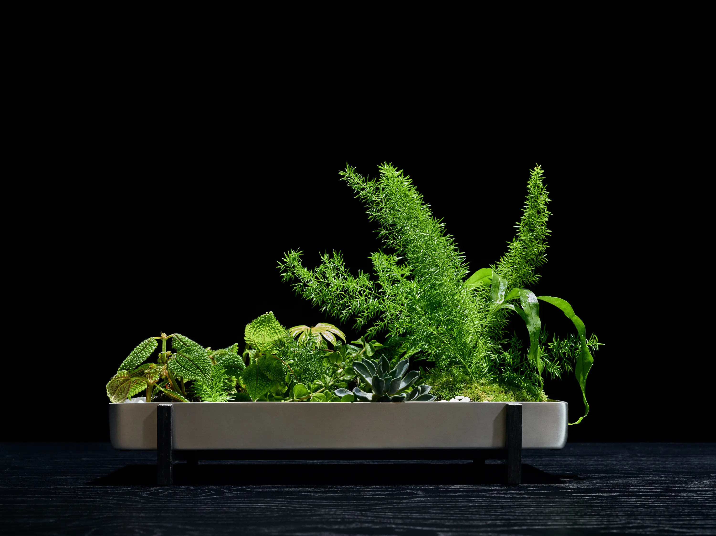 Design House Stockholm - Greenery Flower Tray