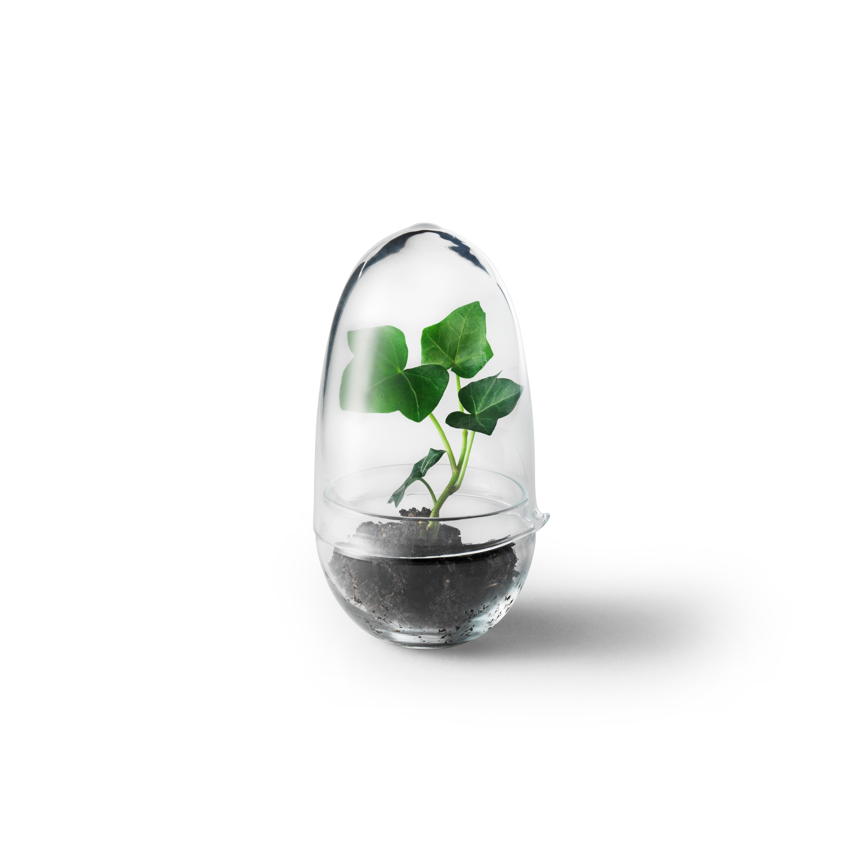 Produkt Grow greenhouse small des Herstellers Design House Stockholm anzeigen
