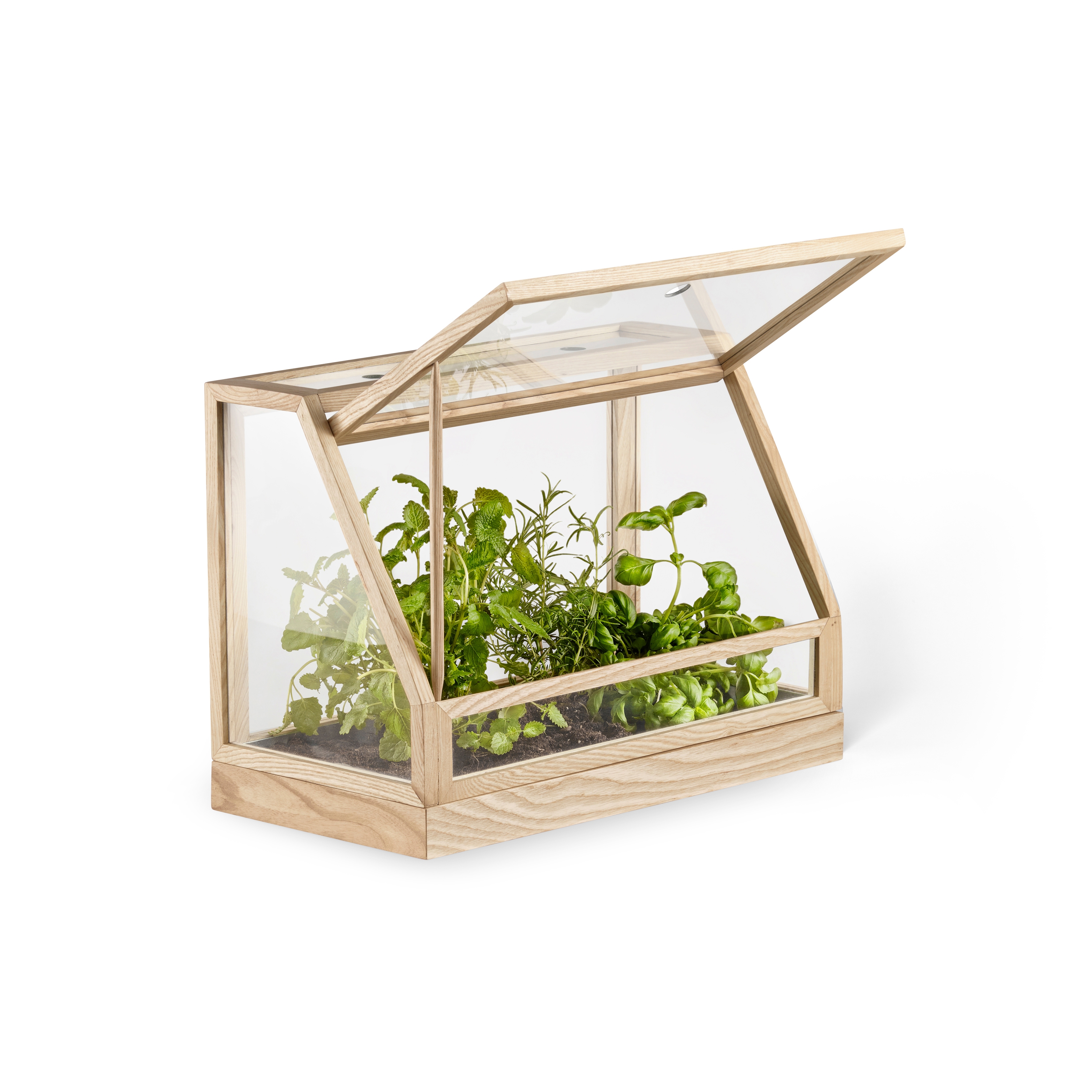 Greenhouse Mini | Ash