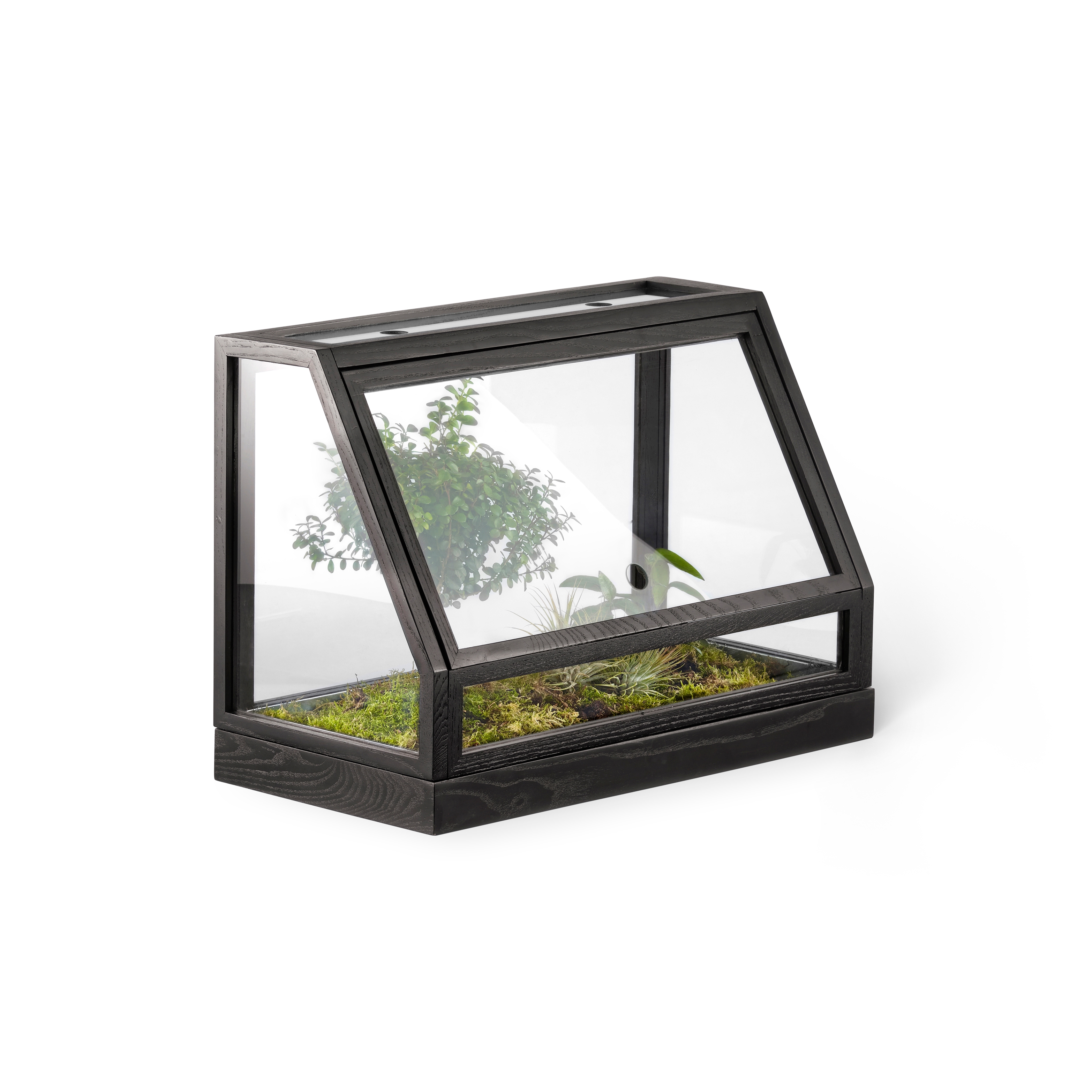 Produkt Greenhouse Mini | Dark grey des Herstellers Design House Stockholm anzeigen