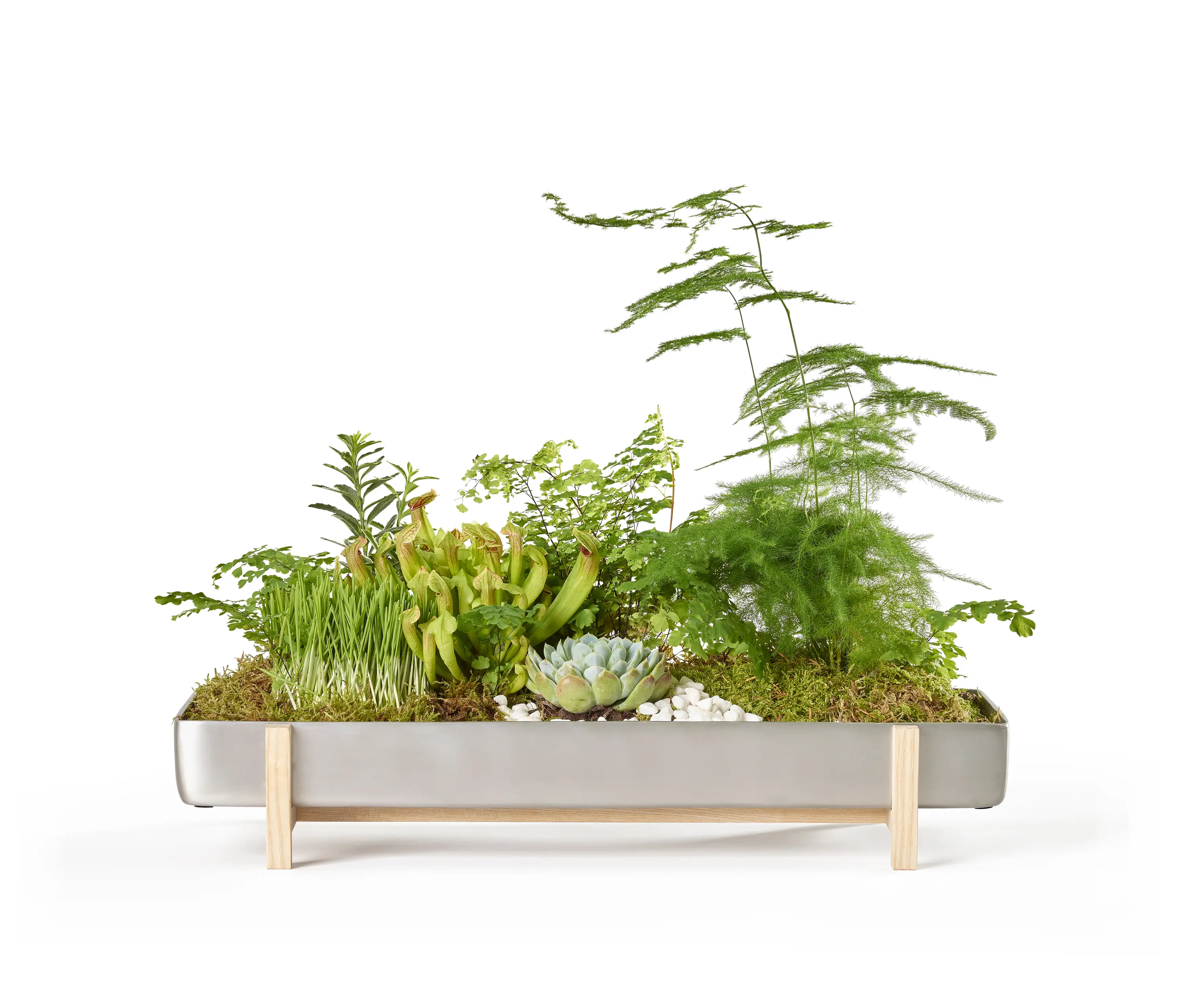 Design House Stockholm - Greenery Flower Tray