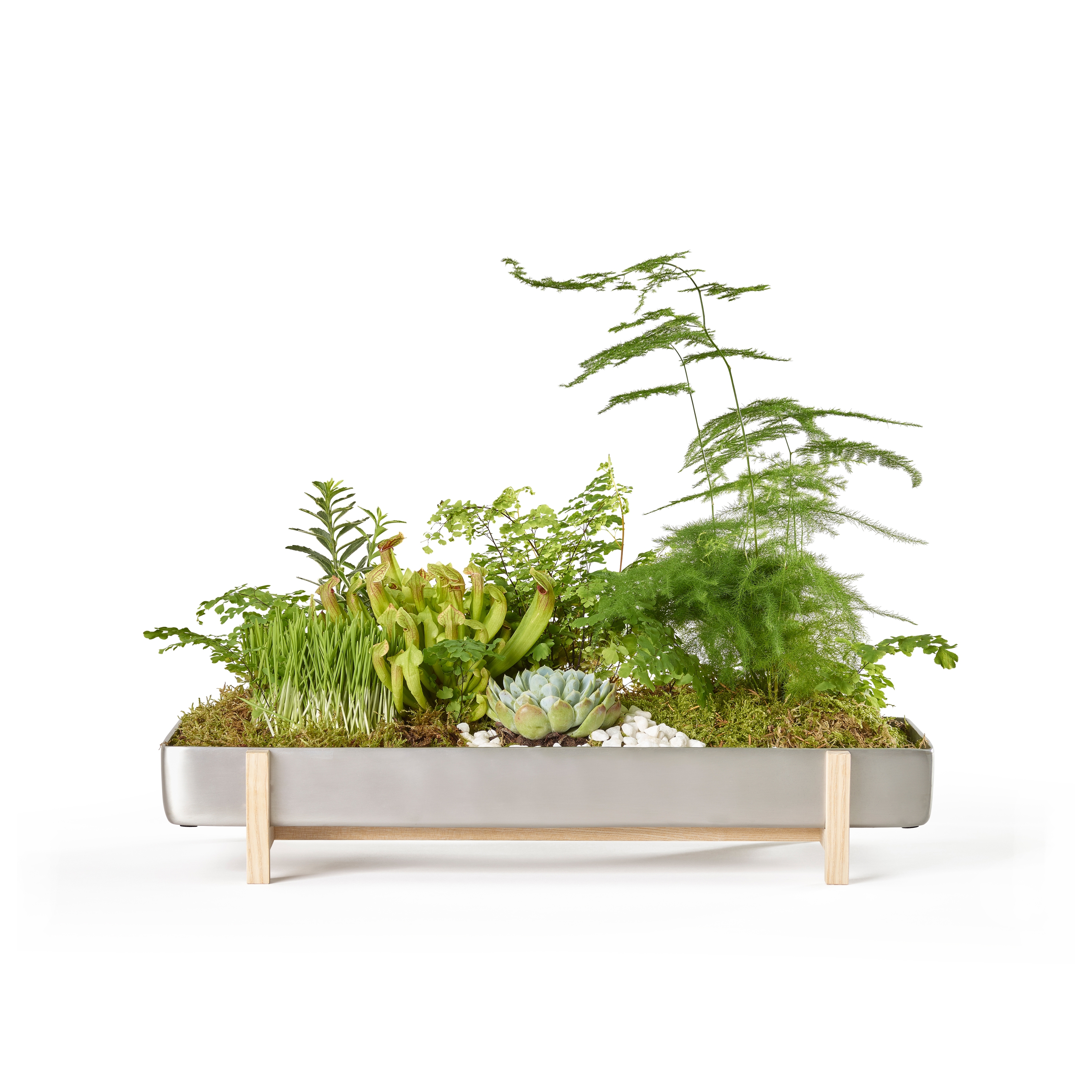 Mostra il prodotto Greenery Flower Tray del produttore Design House Stockholm