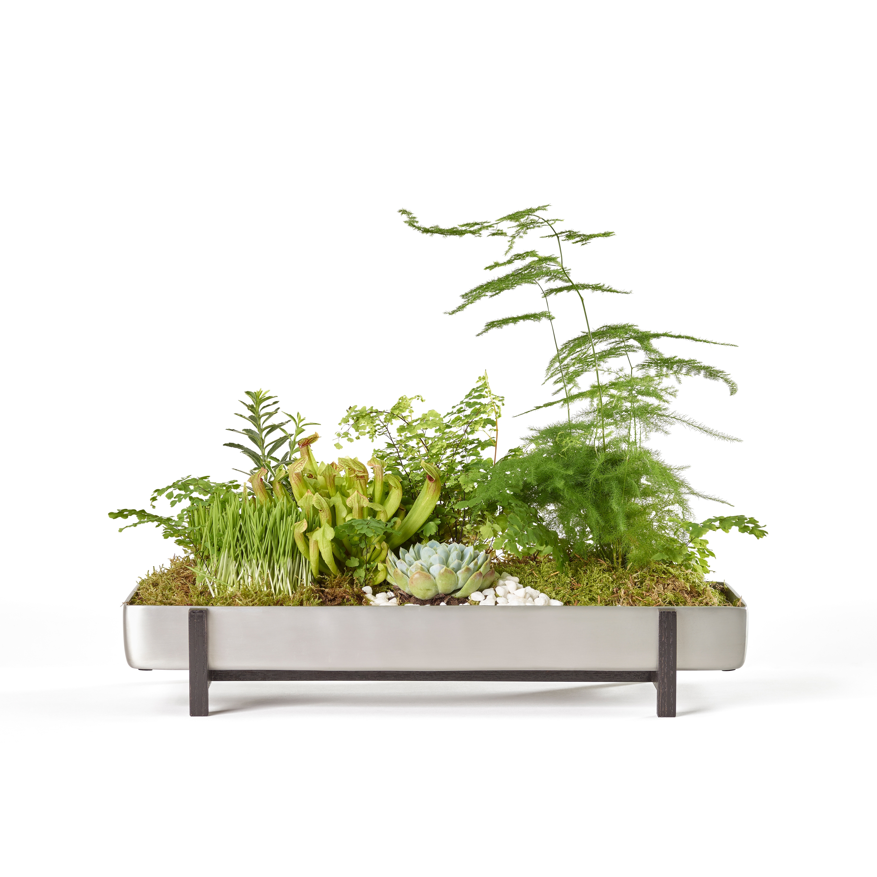 Greenery Flower Tray