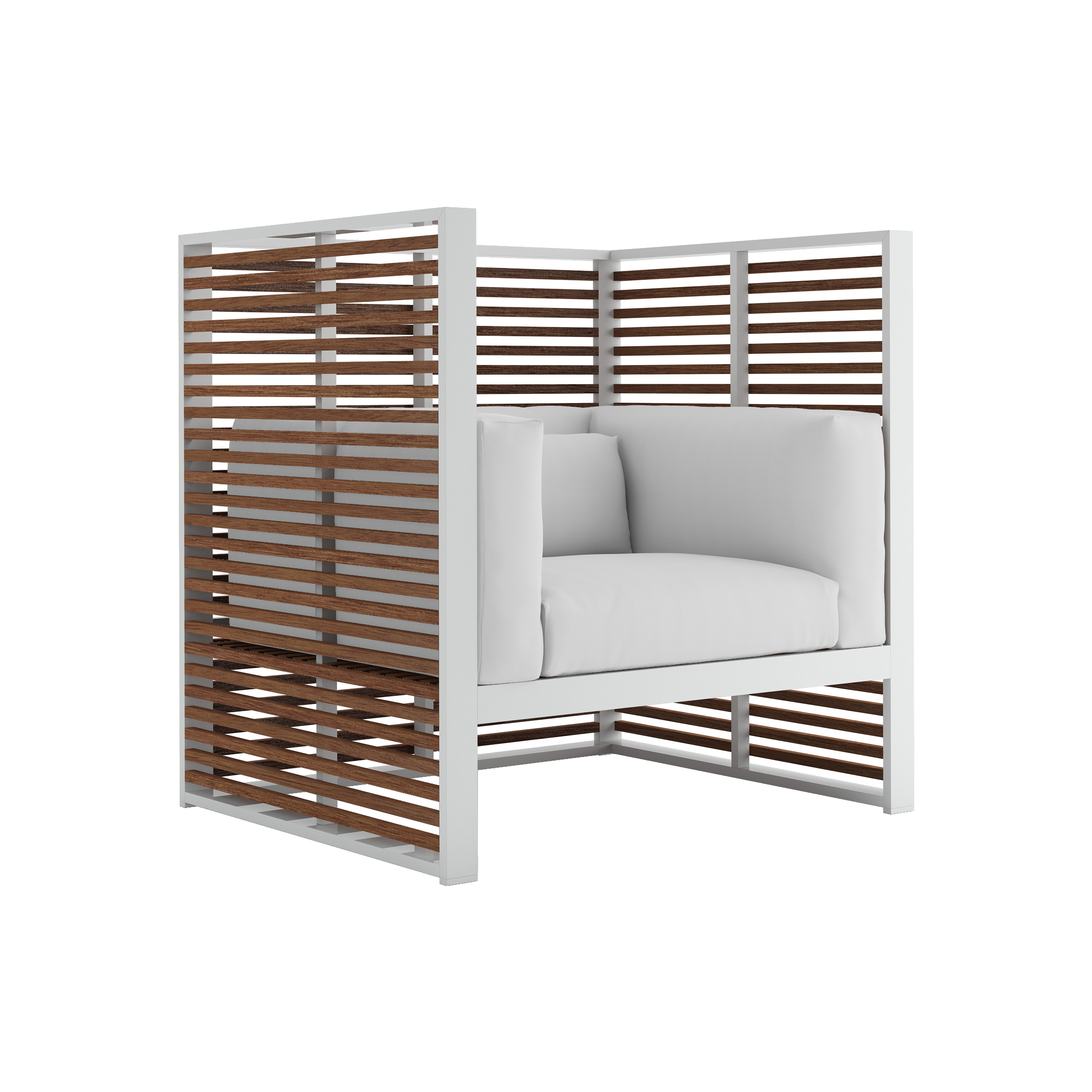 Display product DNA Teak Lounge Chair from manufacturer GANDIABLASCO