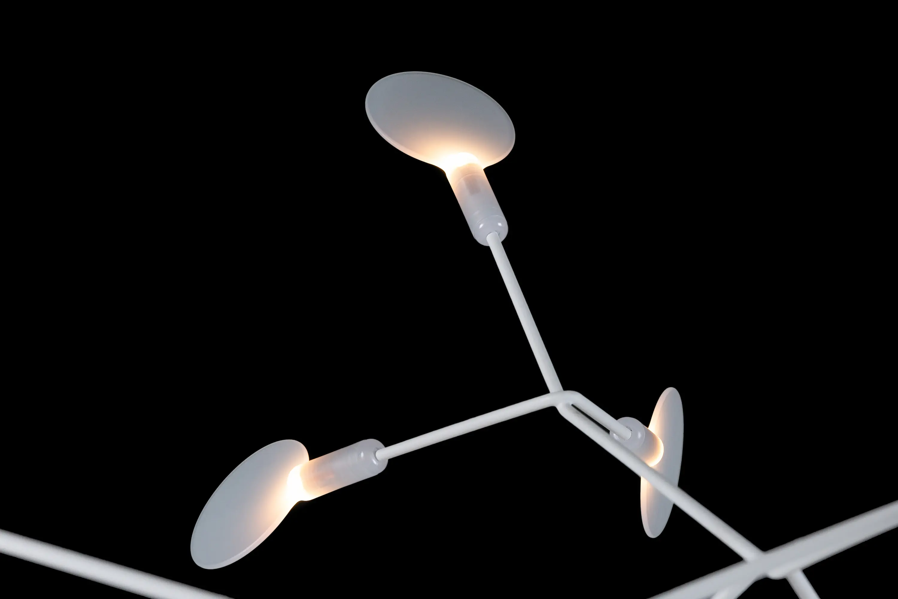 moooi - Heracleum Endless - White