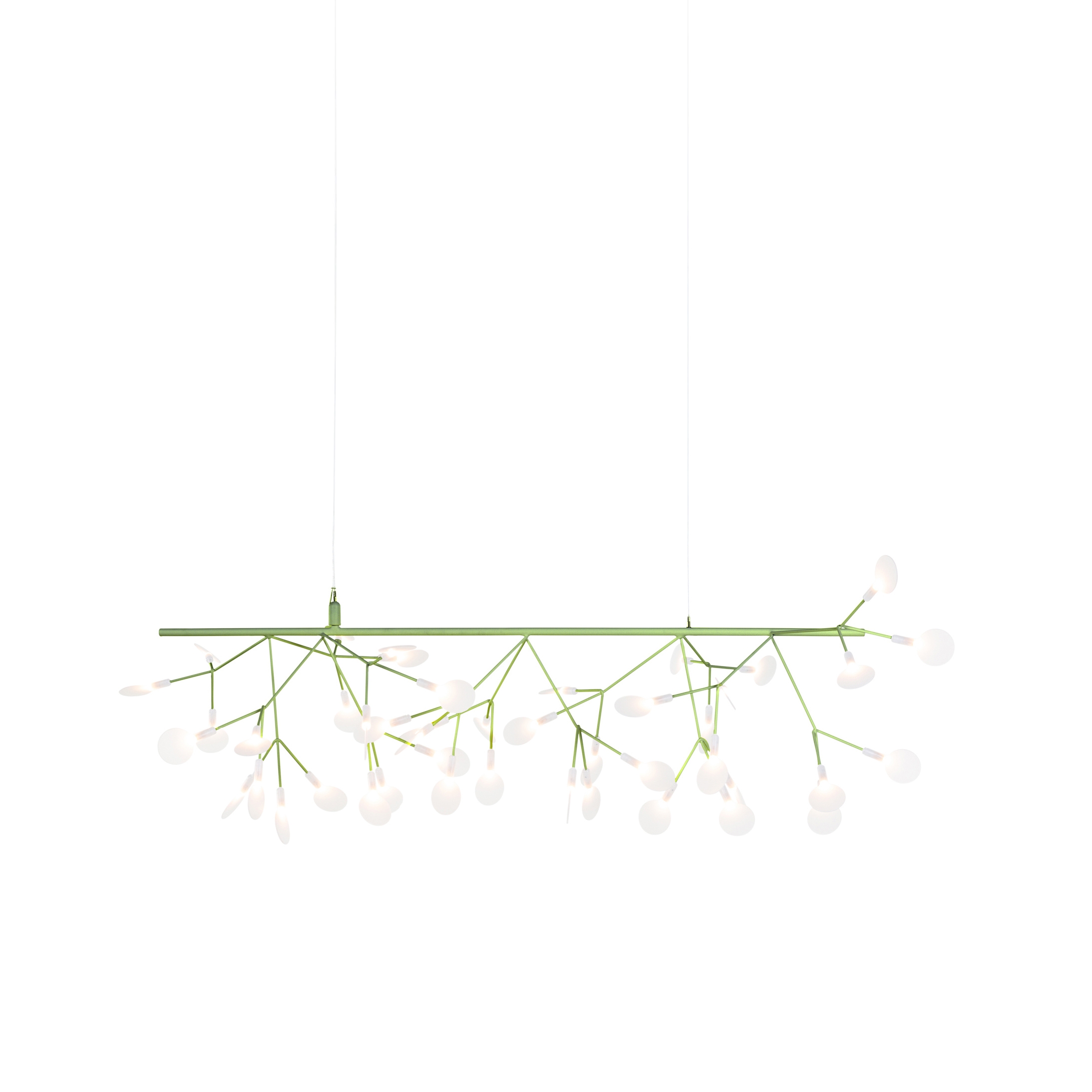 Heracleum III Endless, Green