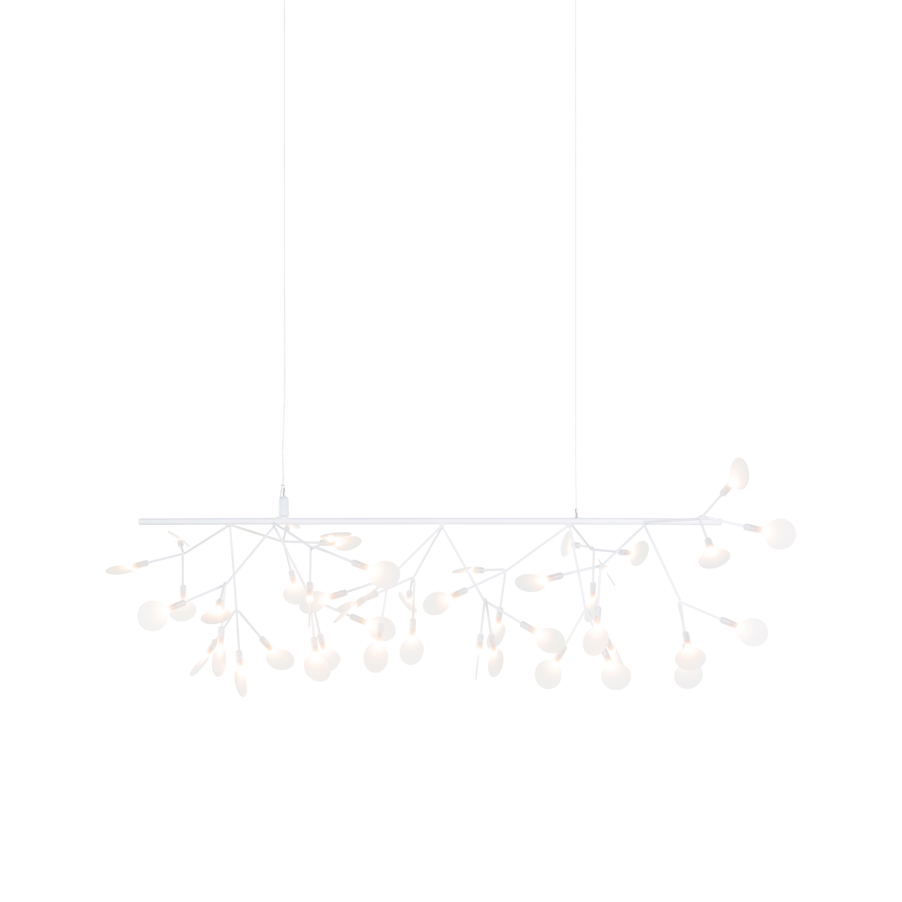 Heracleum III Endless, White