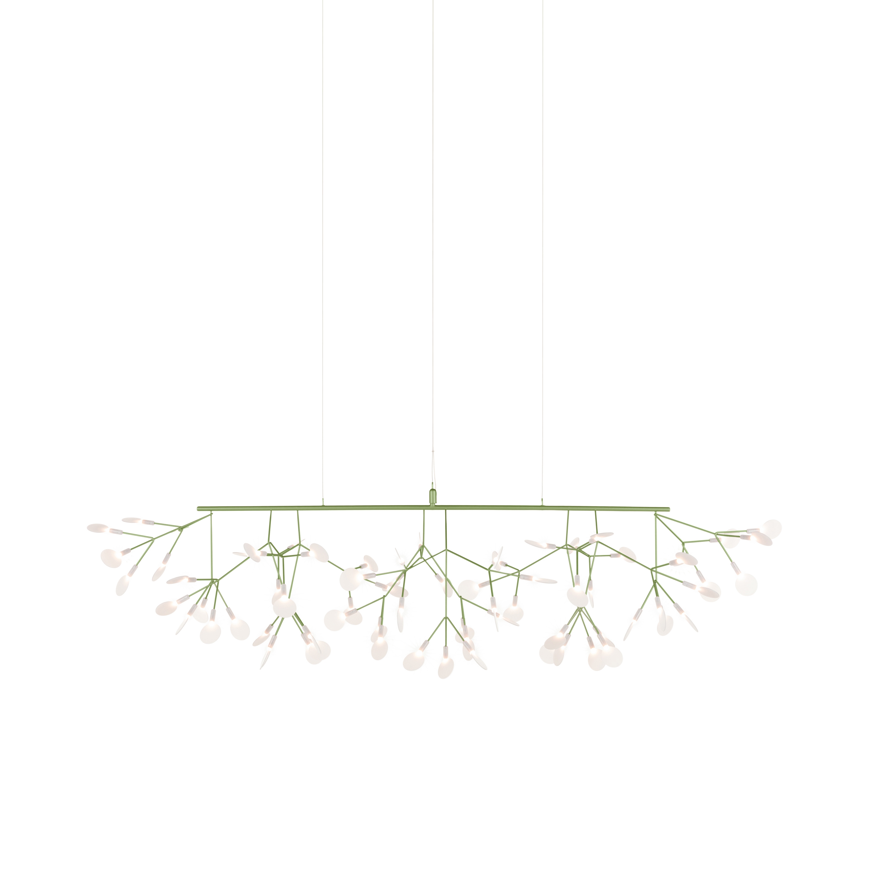 Heracleum III Linear, Green