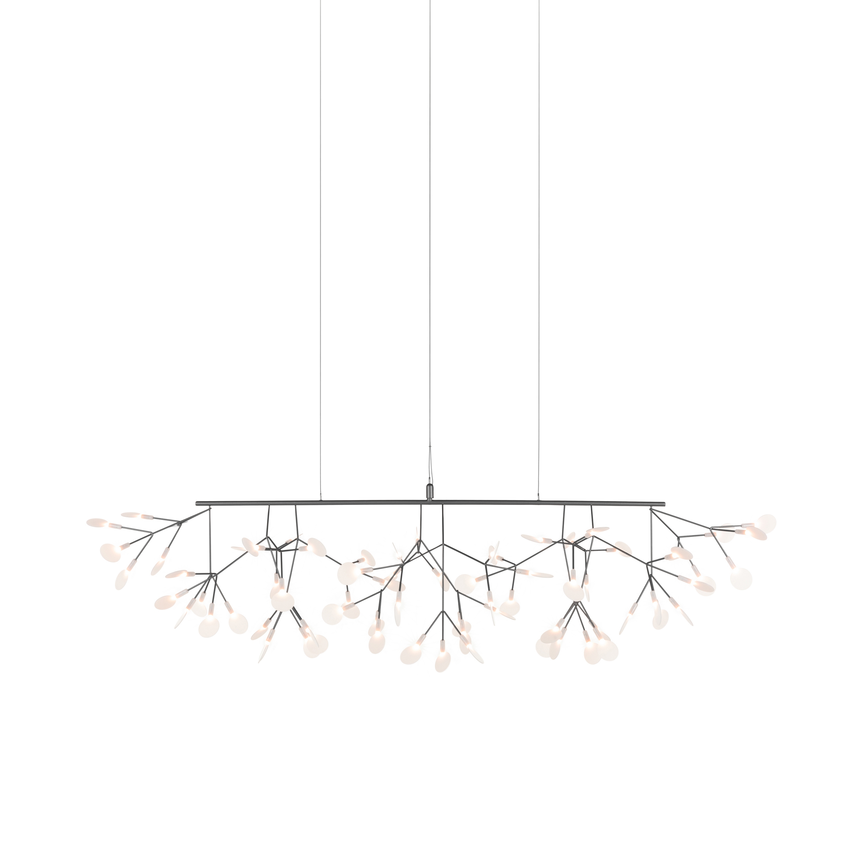 Heracleum III Linear, Nickel