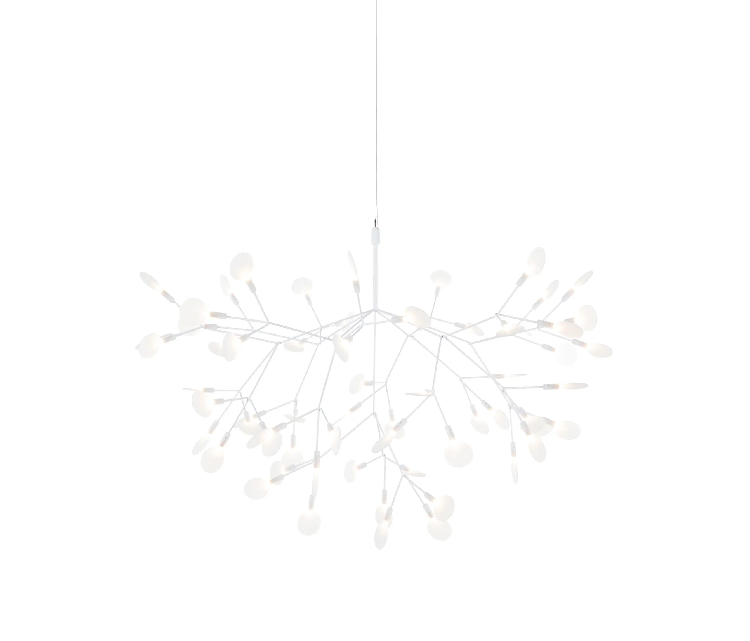 moooi - Heracleum III Suspended, Large, White