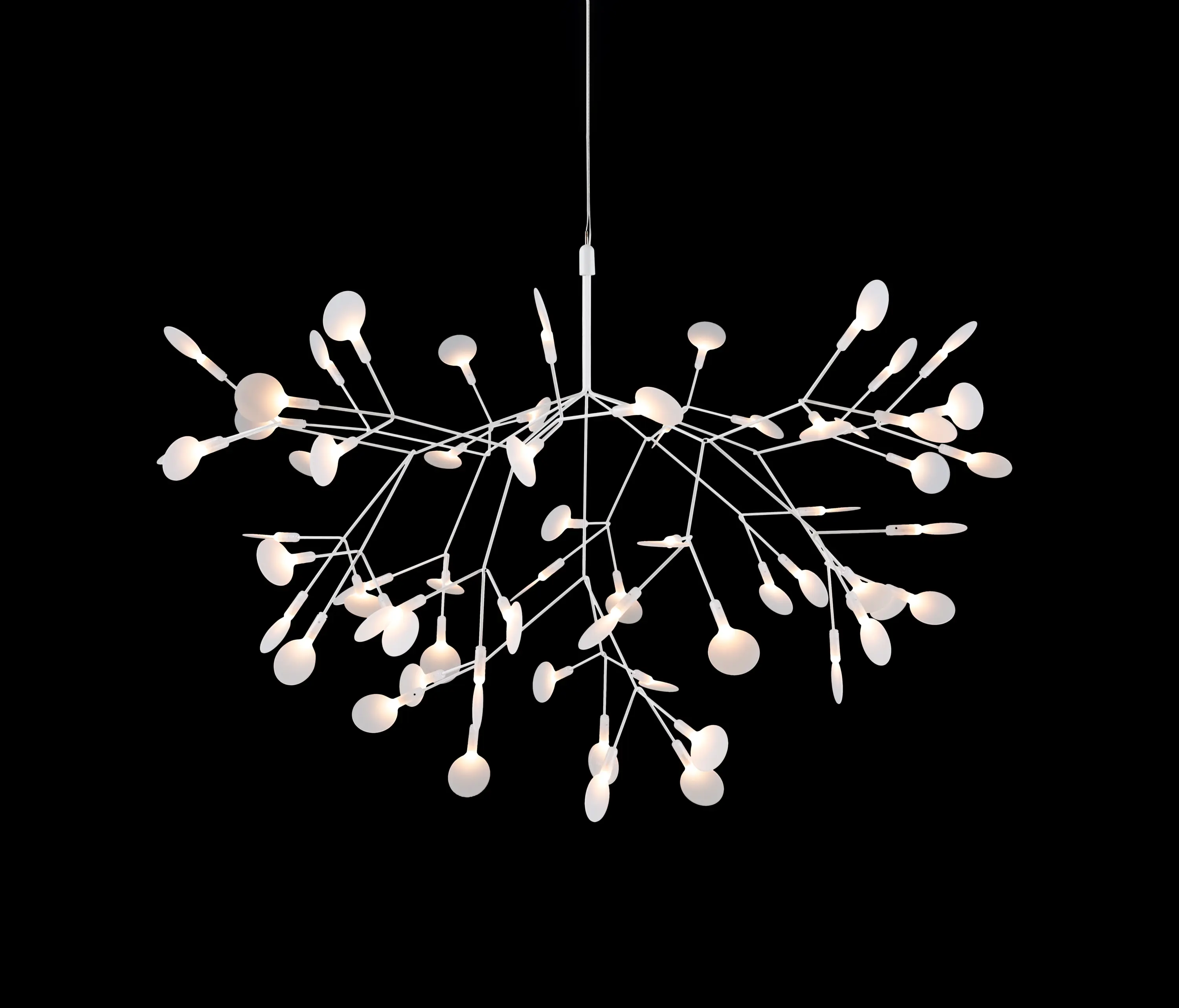 moooi - Heracleum III Suspended, Large, White