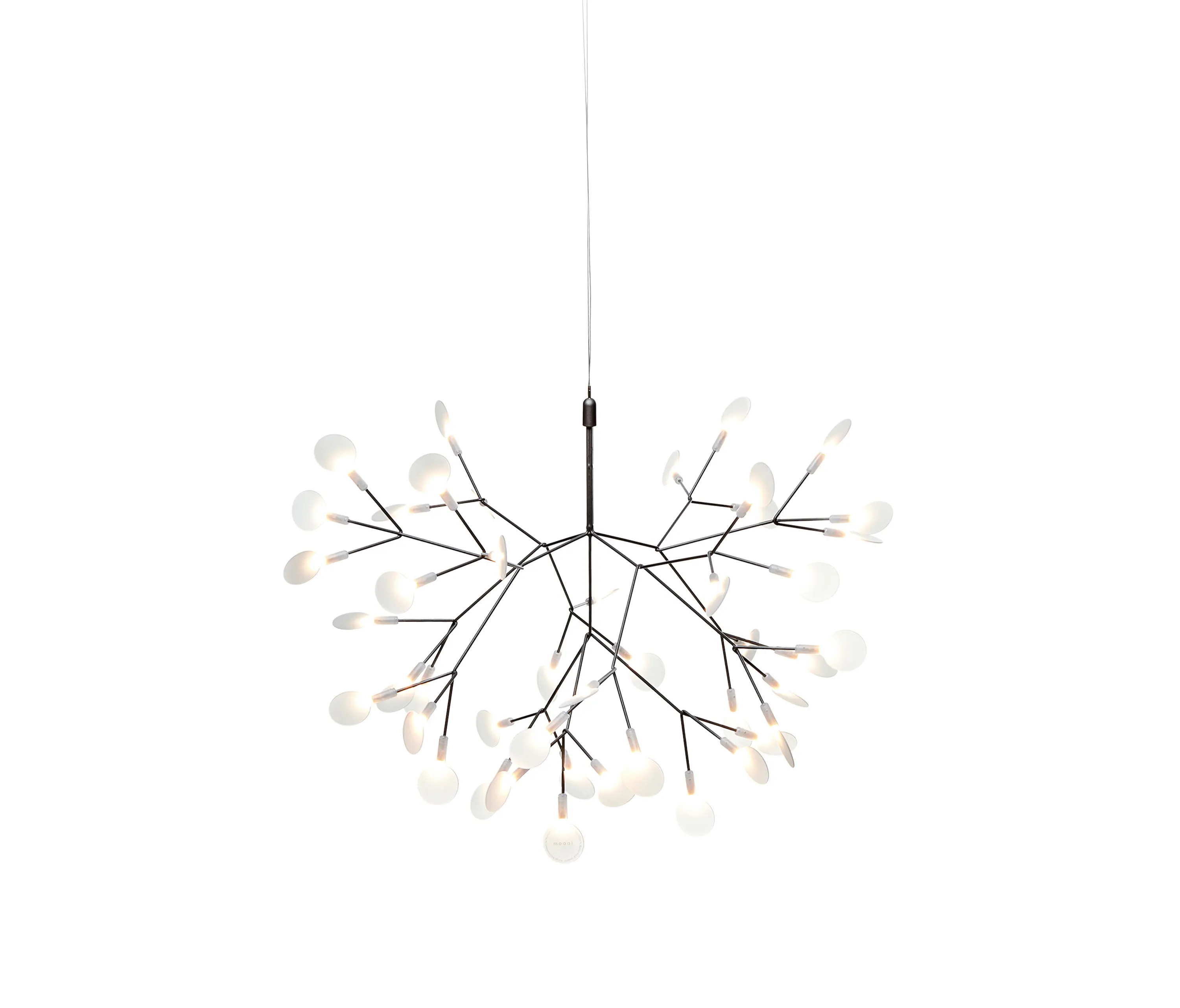 moooi - Heracleum III Suspended, Small, Nickel