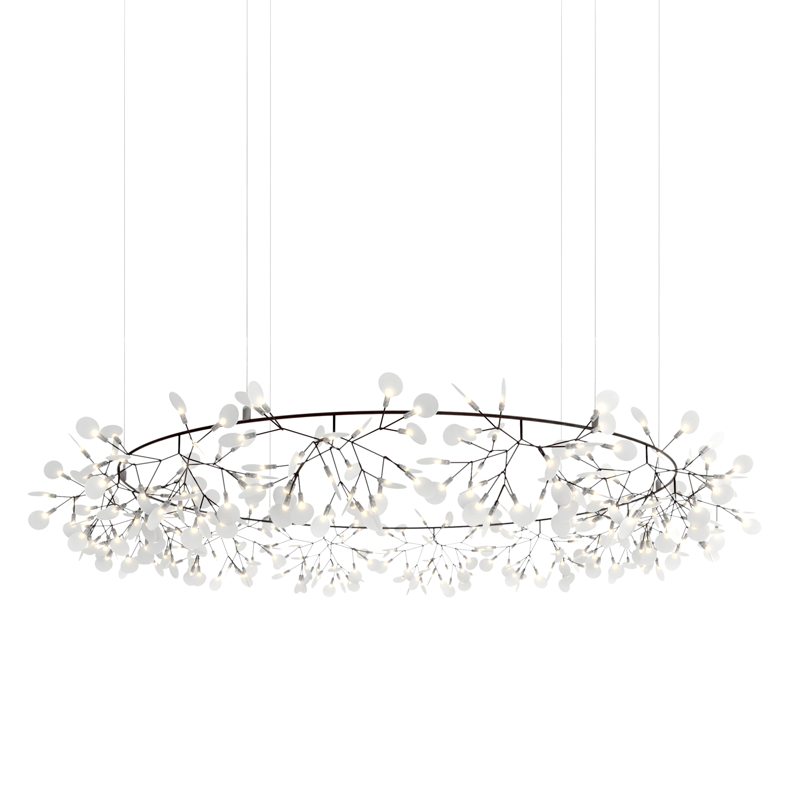 Heracleum III The Big O, Large, Nickel