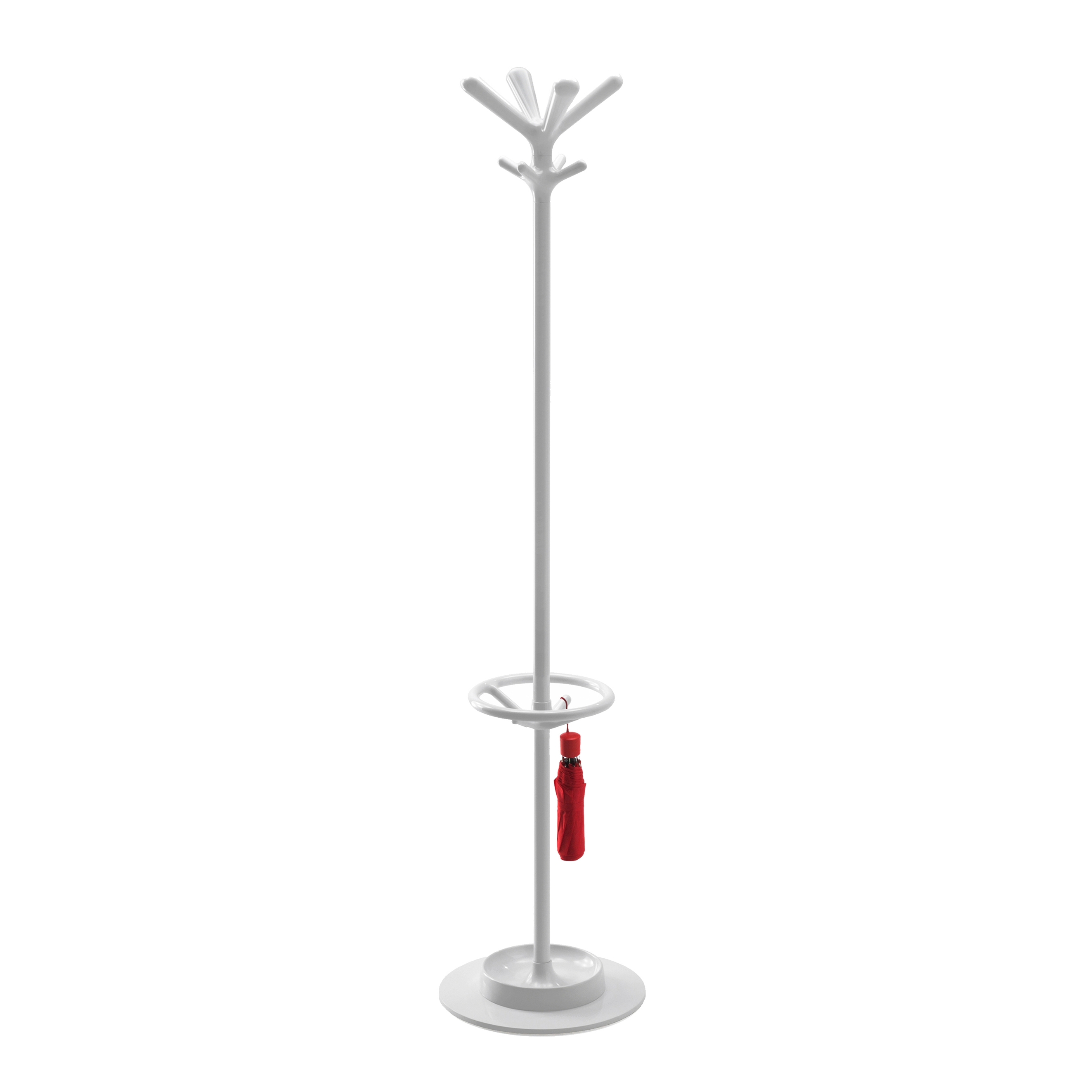 Display product Pop from manufacturer Rexite