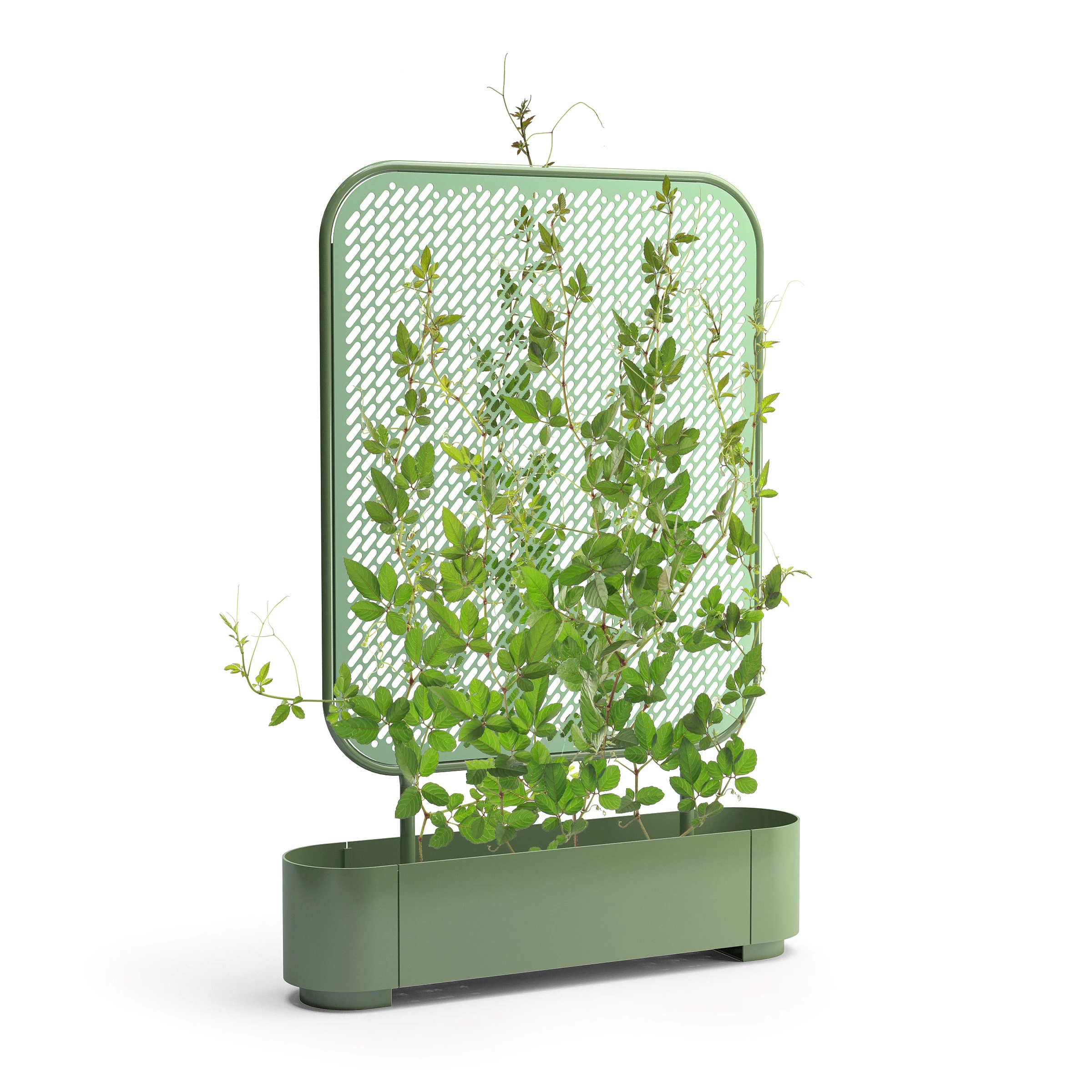 PLANTER
