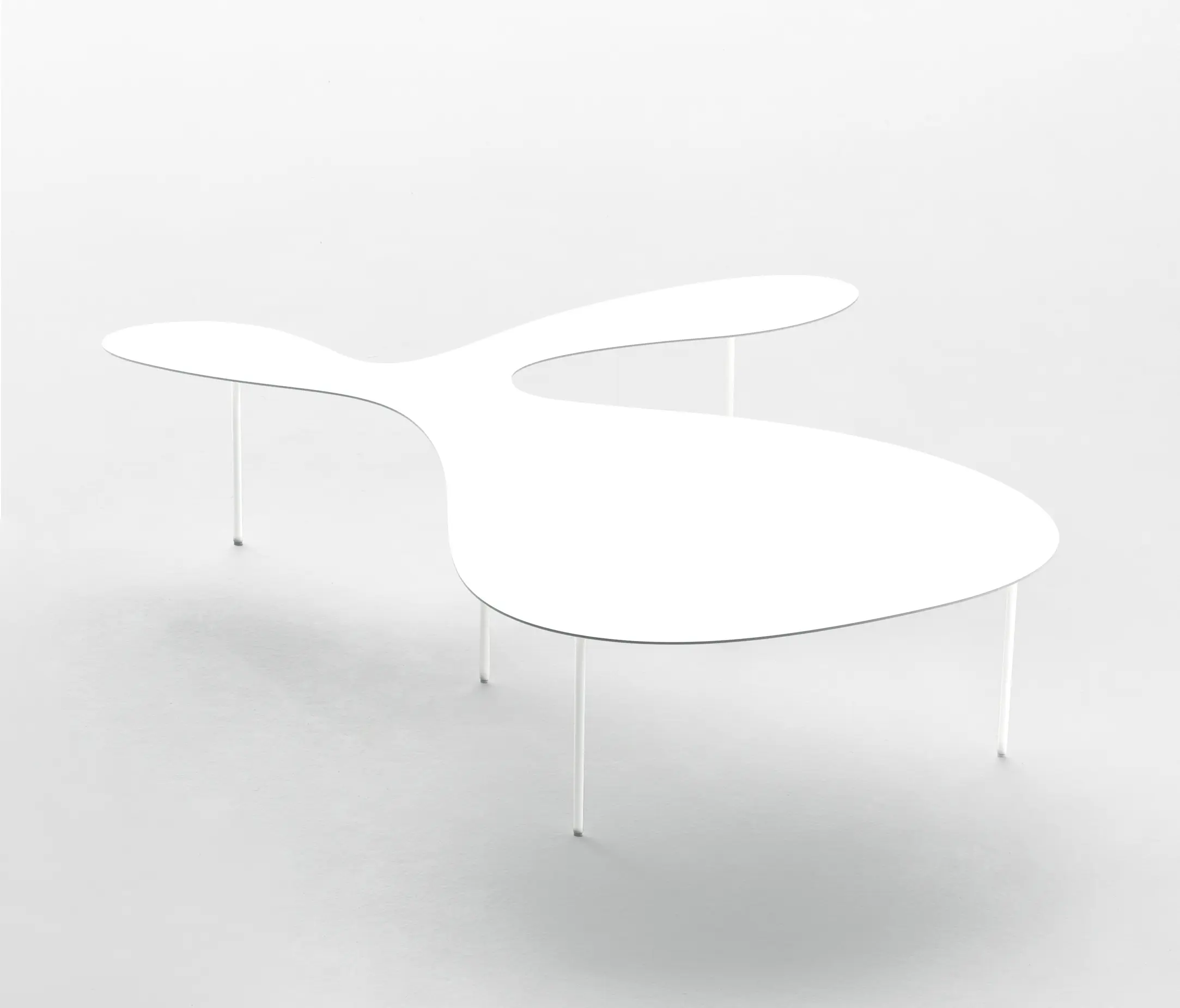 Living Divani - Rabbit & the Tortoise Collection
