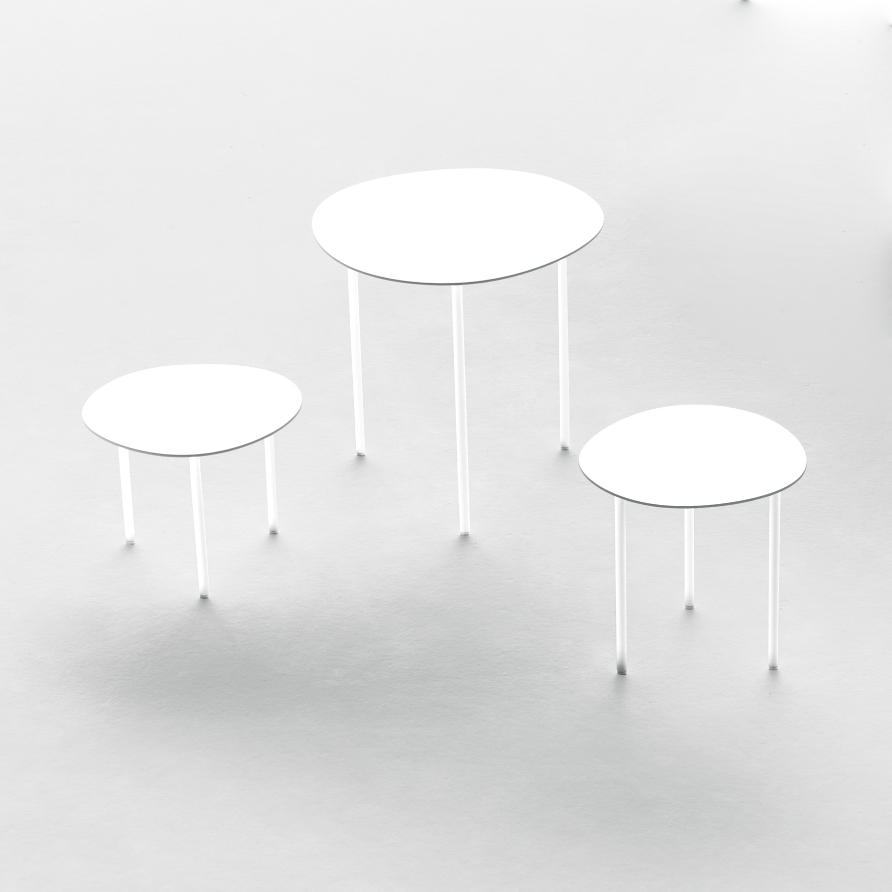 Display product Rabbit & the Tortoise Collection from manufacturer Living Divani