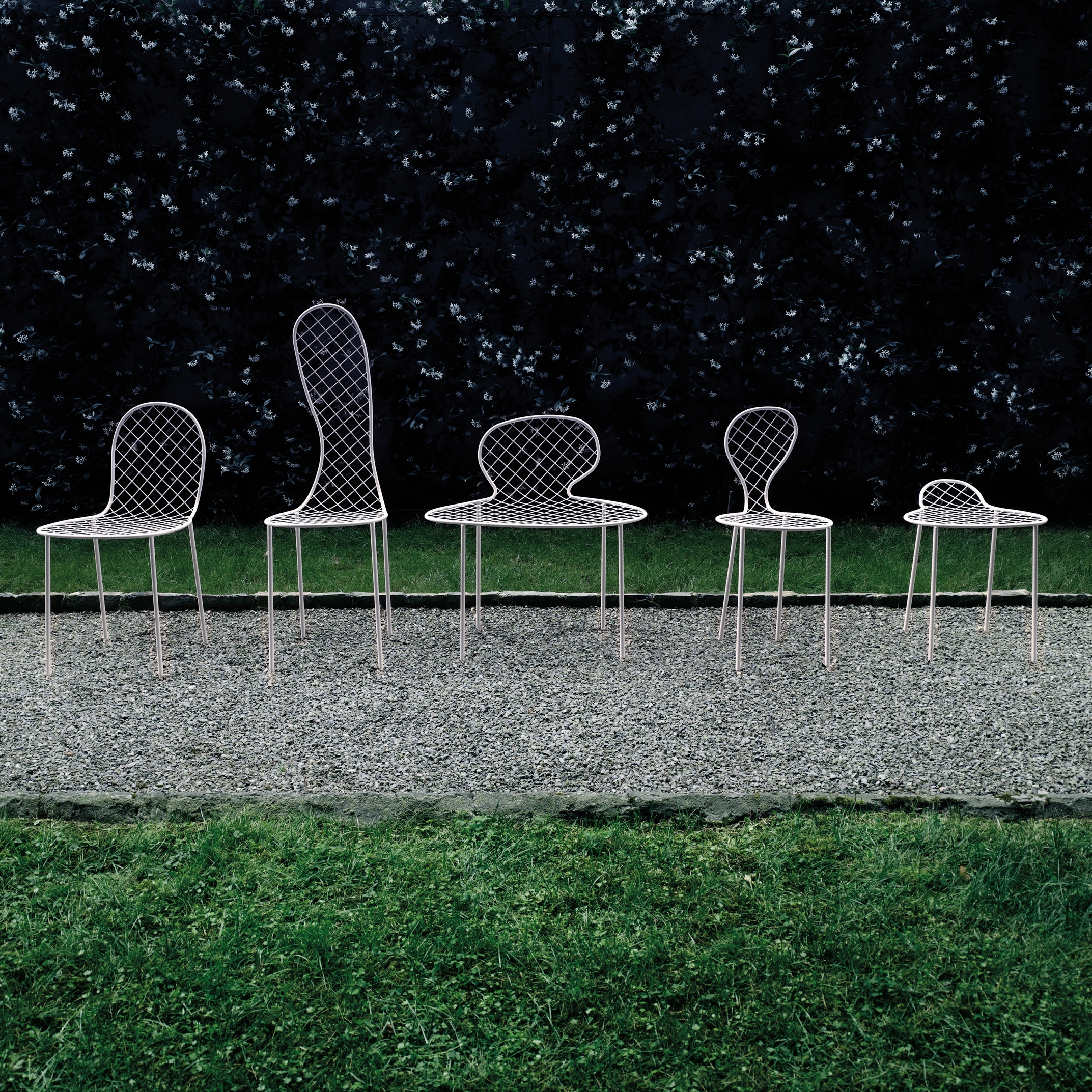 Display product Family Chair from manufacturer Living Divani