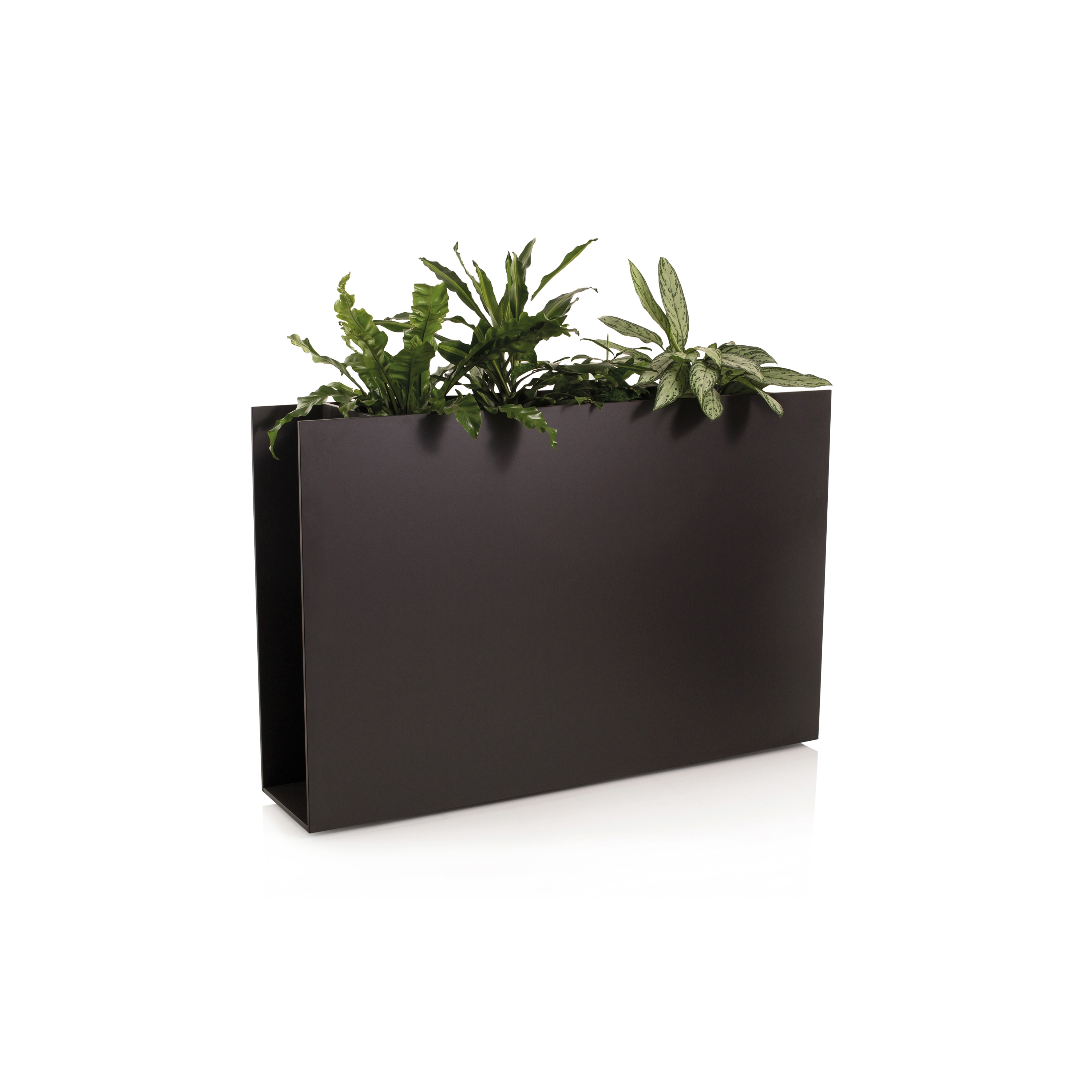 GARDEN & ACCESSORIES