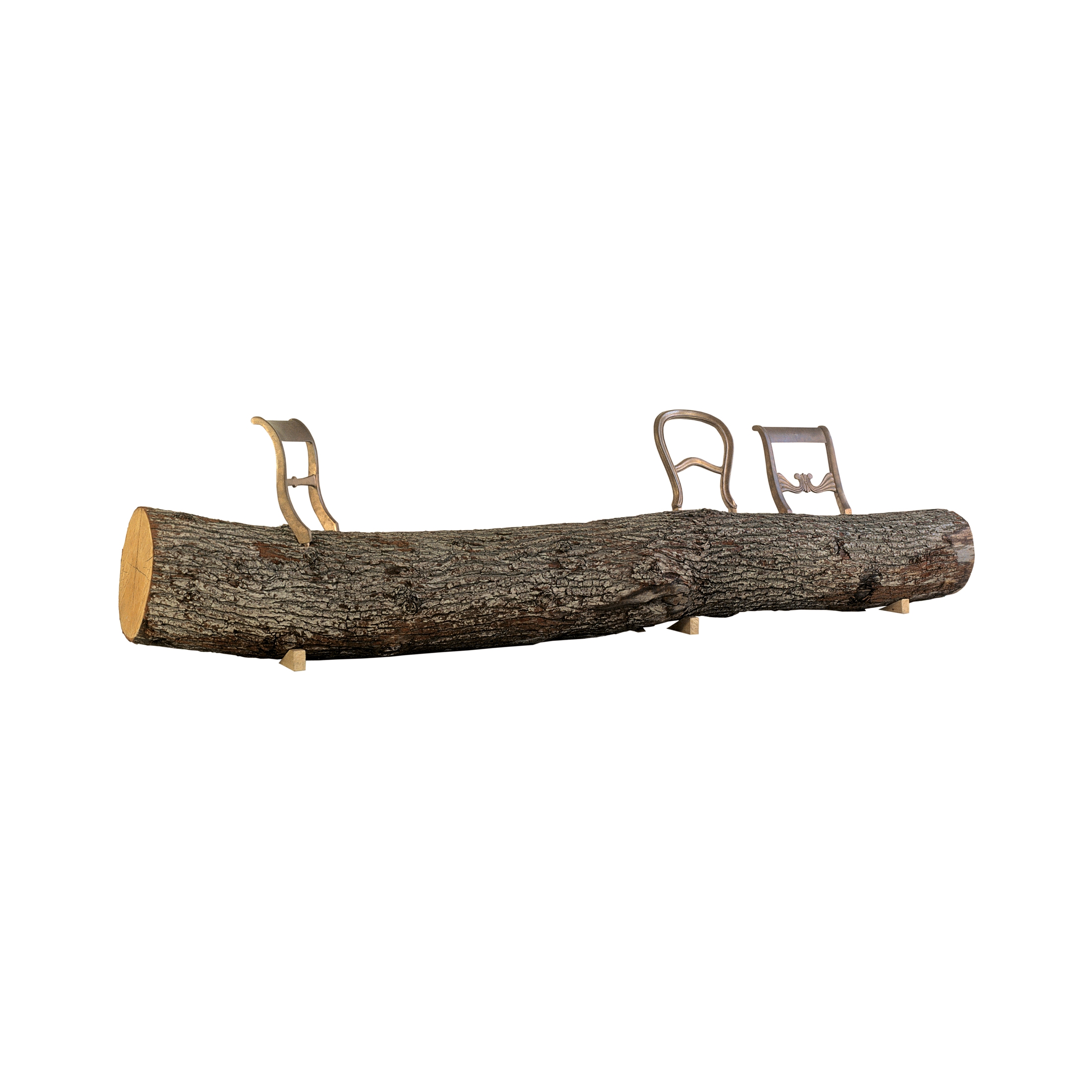 Display product Tree-trunk bench from manufacturer Droog