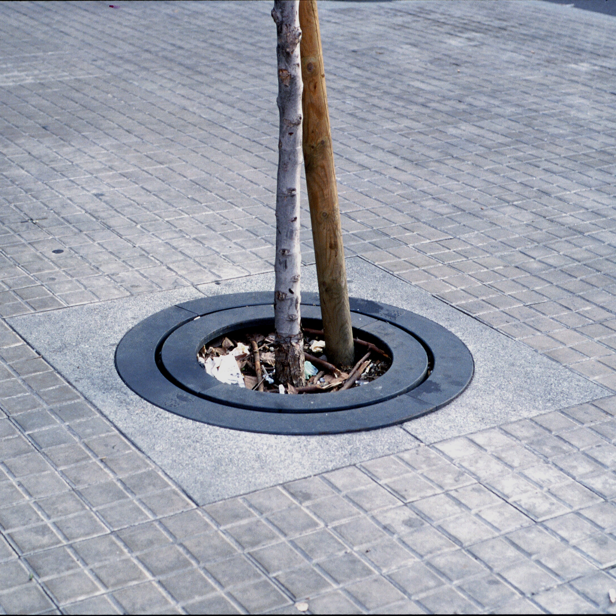 Display product Carmel | Tree Grate from manufacturer Escofet 1886
