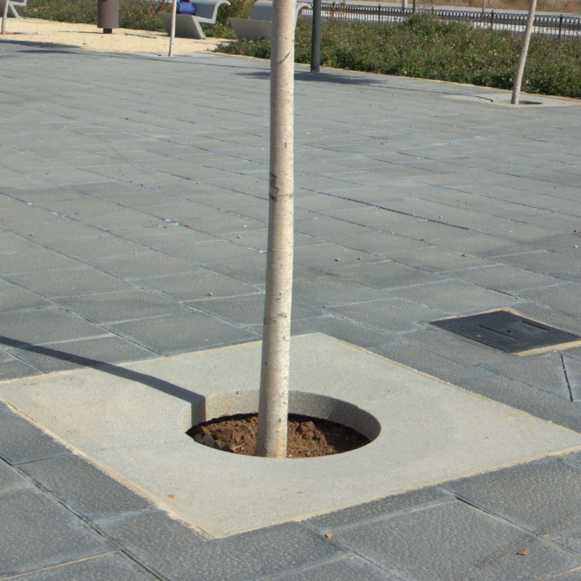 Display product Icaria | Tree grate from manufacturer Escofet 1886