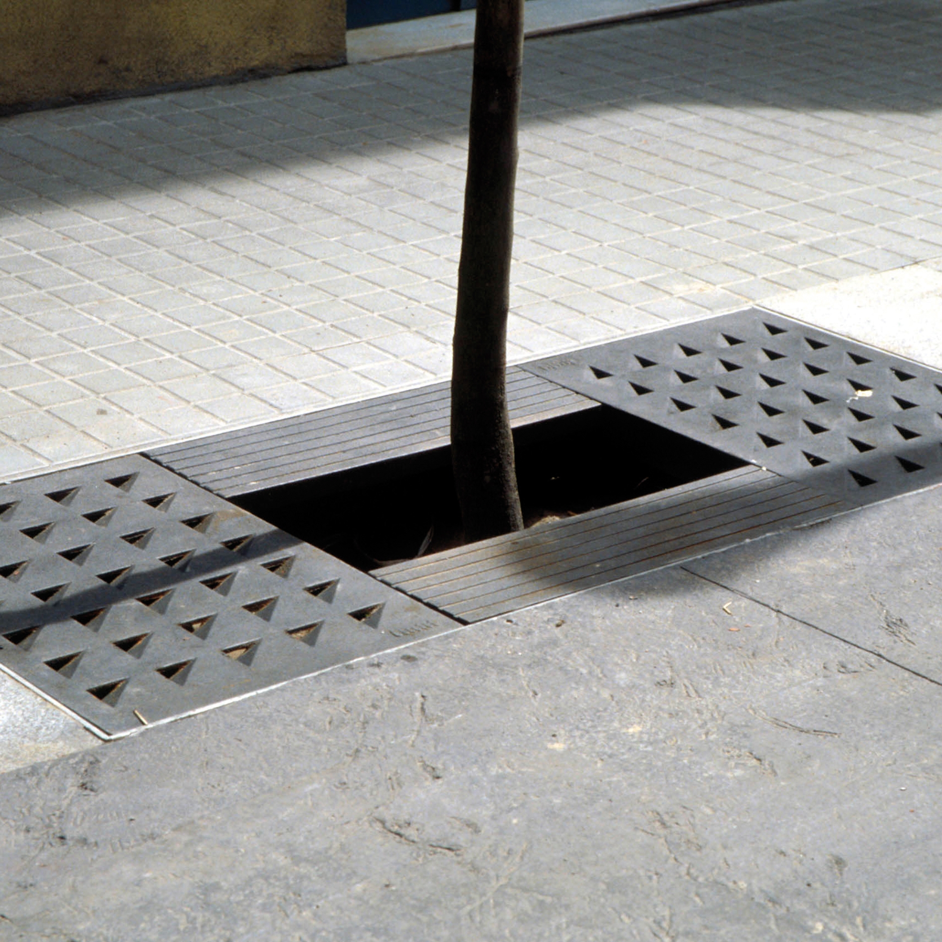 Display product Yarg | Tree grate from manufacturer Escofet 1886