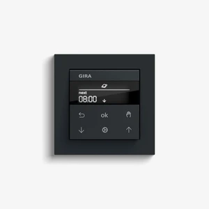 Display product Blind Control | System 3000 Display blind timer | Anthracite (including E2) from manufacturer Gira