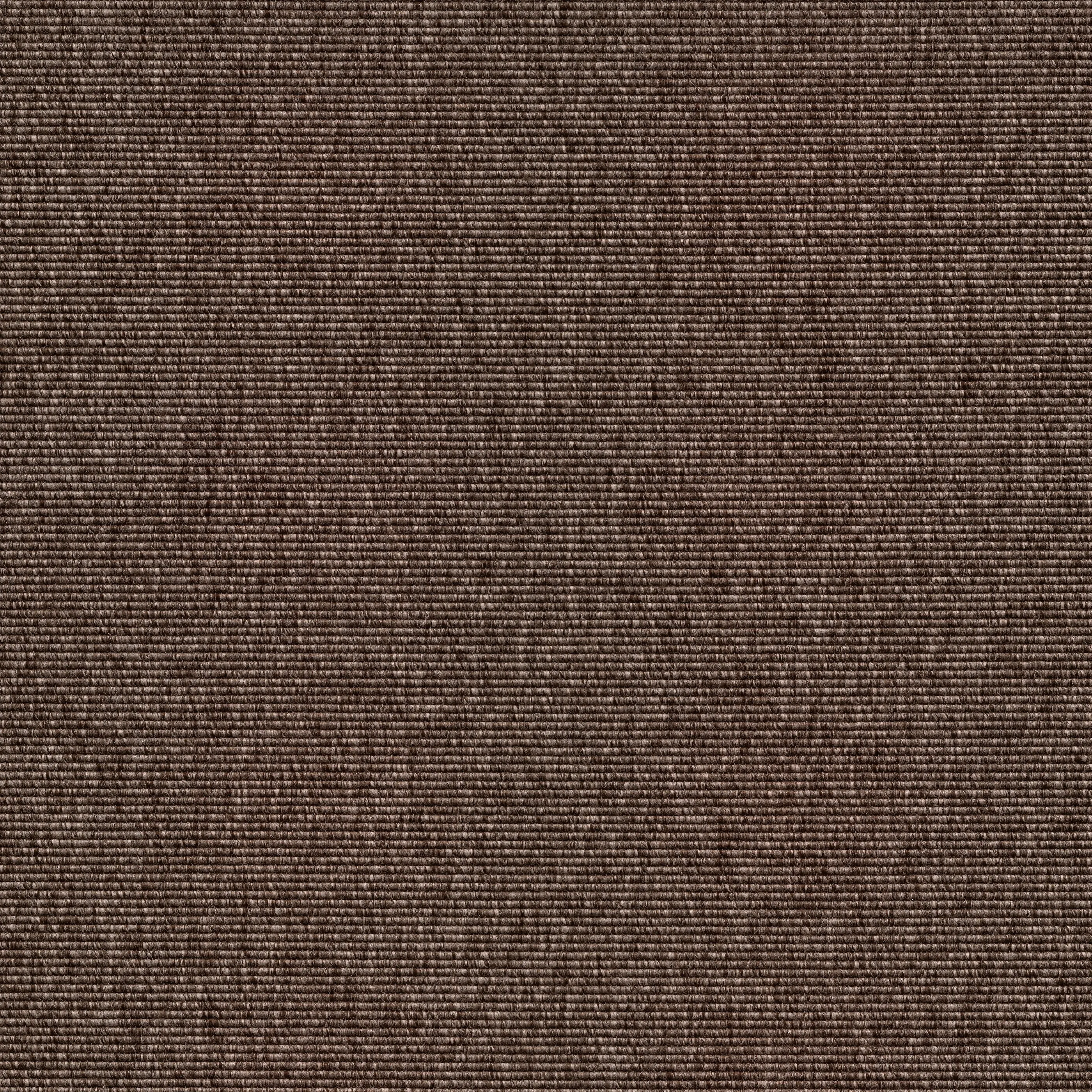 Kasthall - Alfa R+ | Brown 150