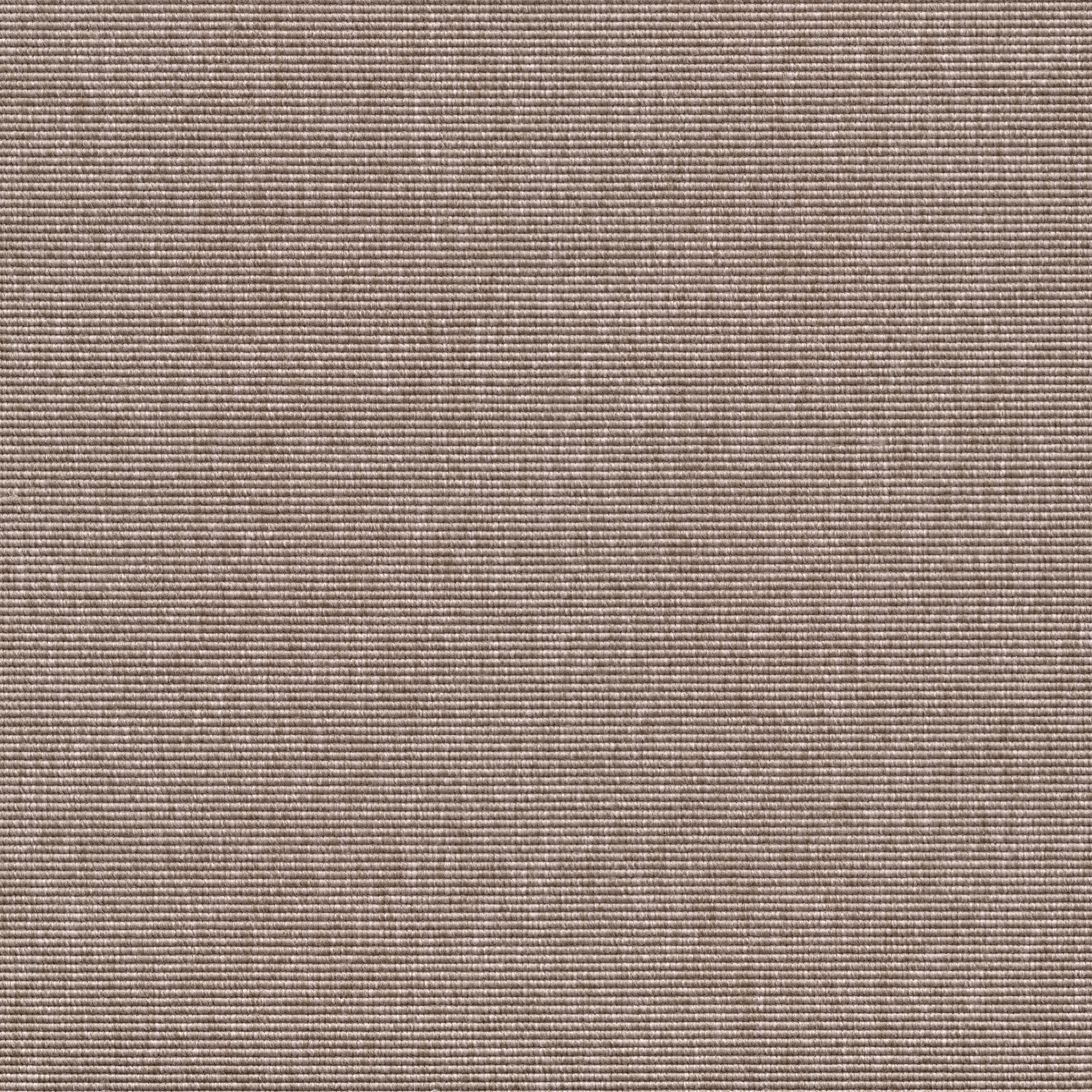 Alfa R+ | Warm Beige 240