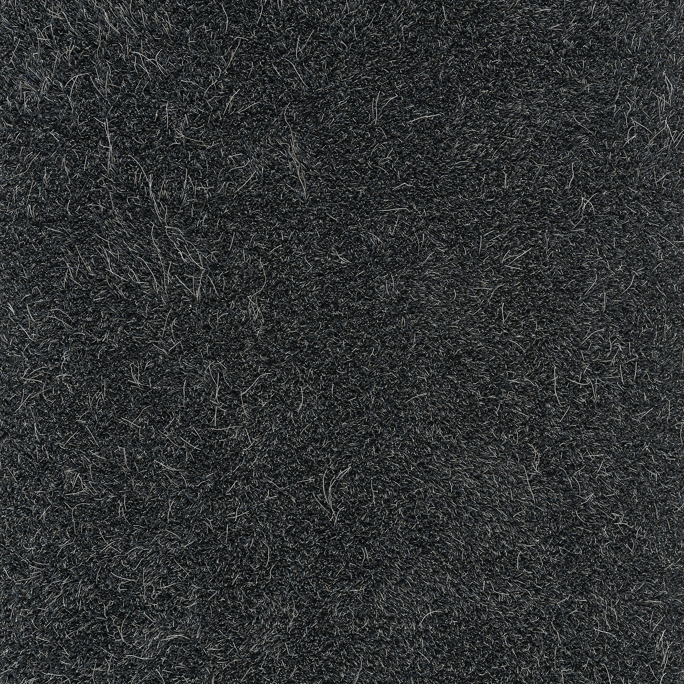 Display product Moss | Blue Iron 501 from manufacturer Kasthall
