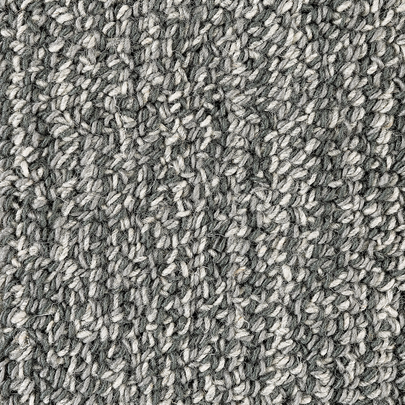 Poppy | Harmonic Silver 501