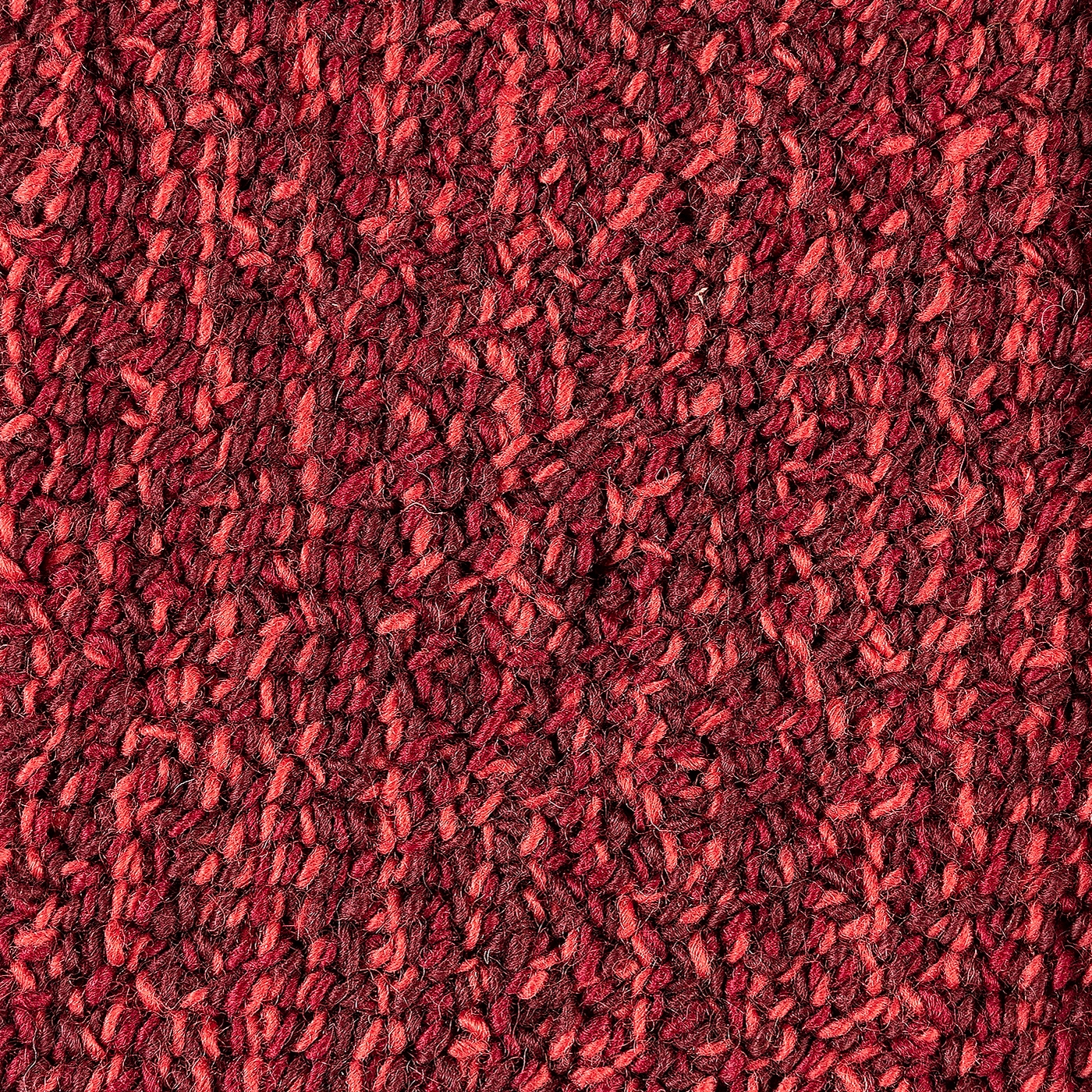 Poppy | Rebellion Red 100