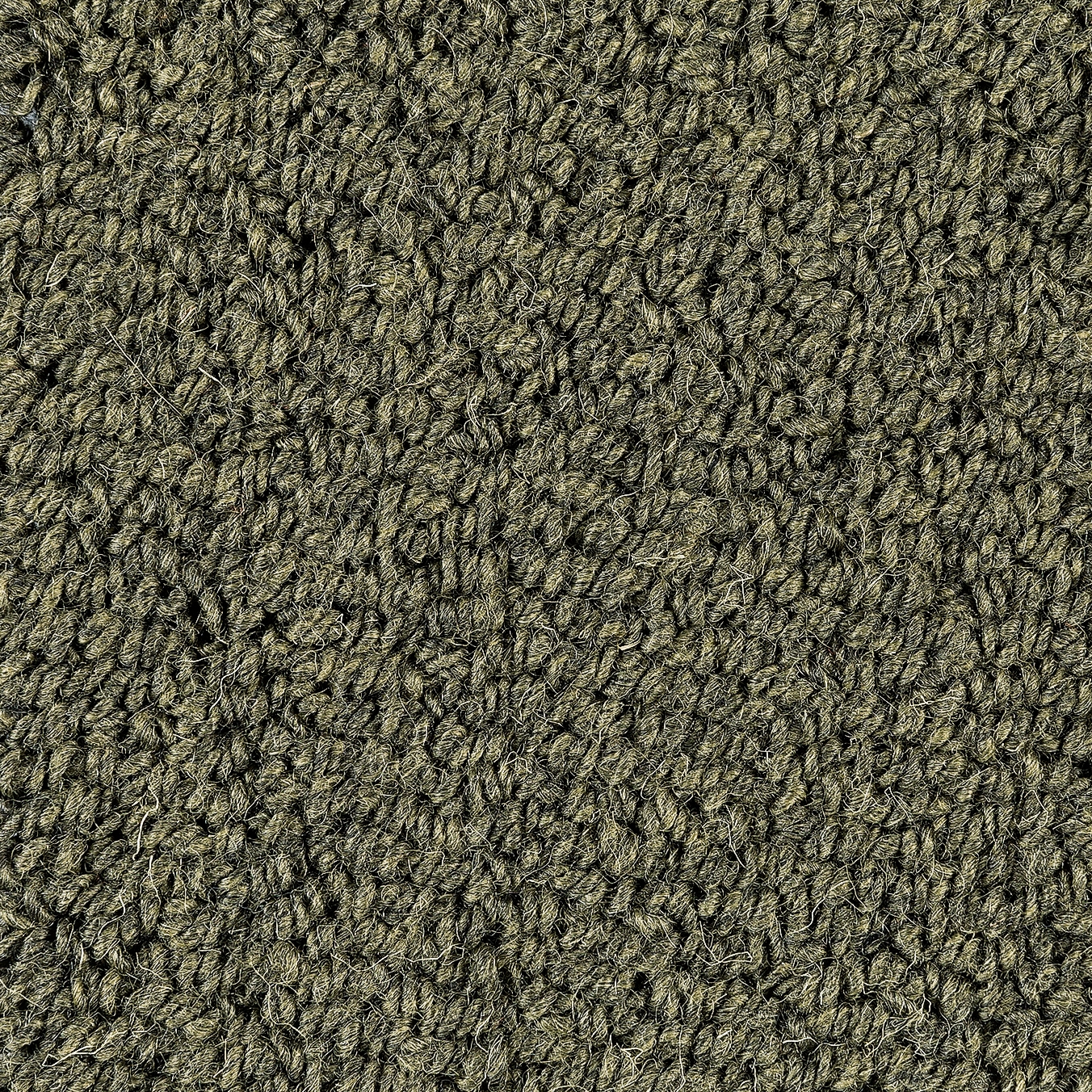 Loop Melange | Bay Leaf 3530