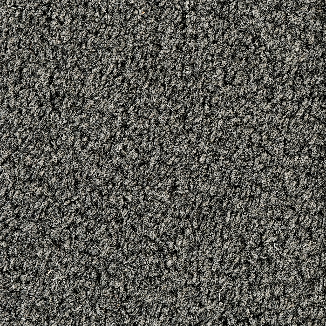 Loop Melange | Chia Seed 8507