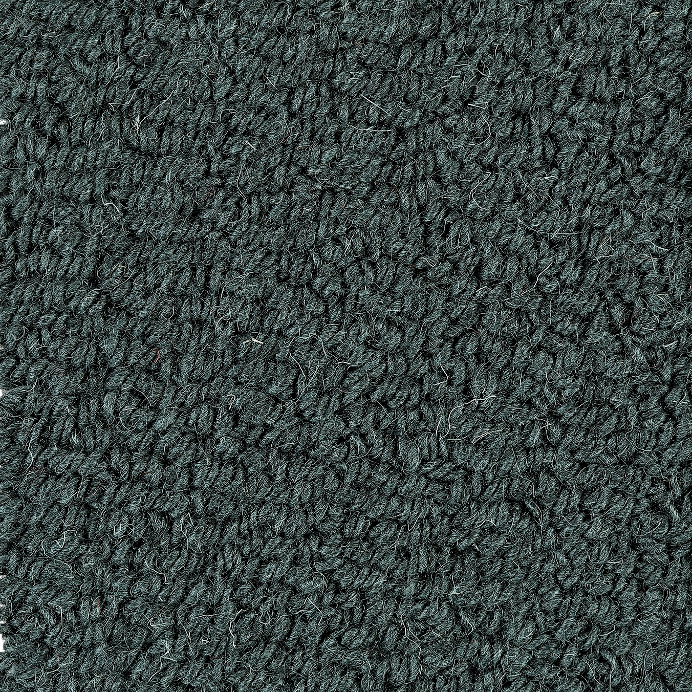 Loop Melange | Roasted Seaweed 2513