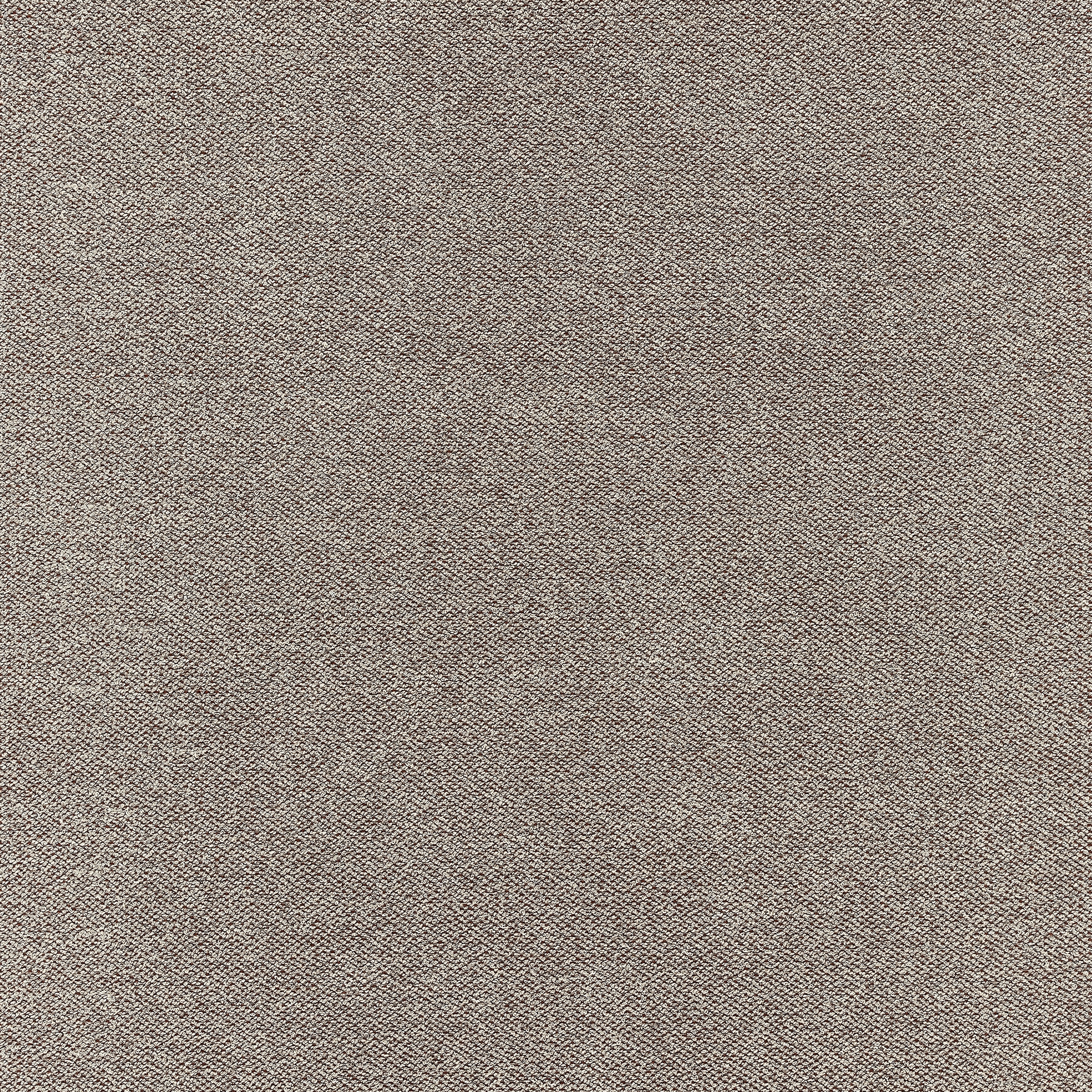 Terrazzo | Cornelian 801