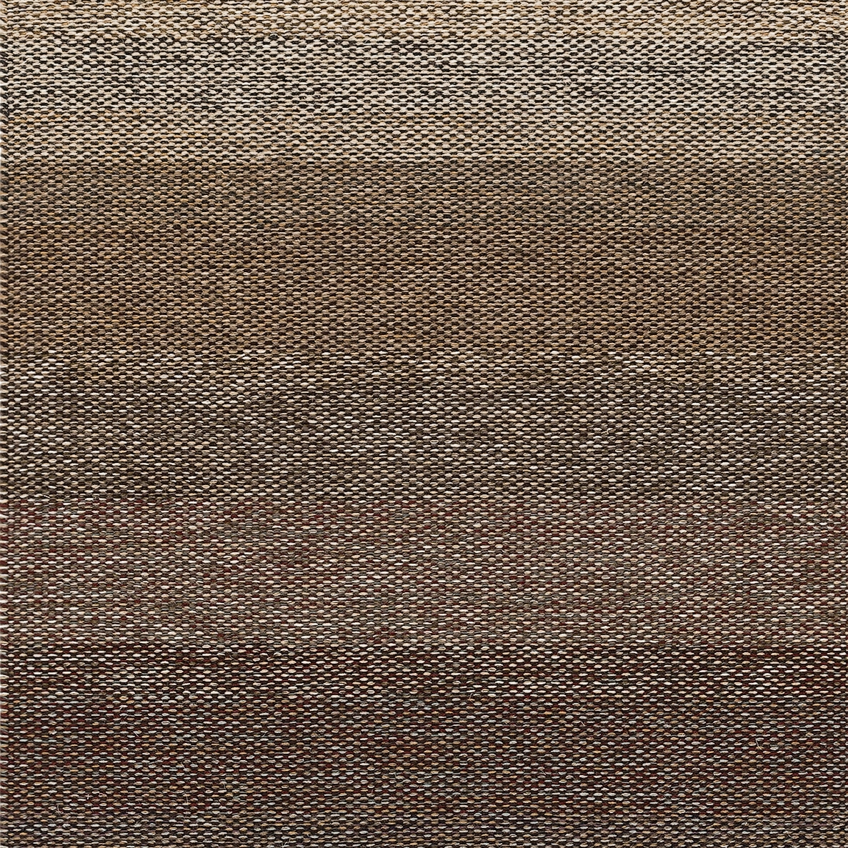 Harvest | Beige Brown
