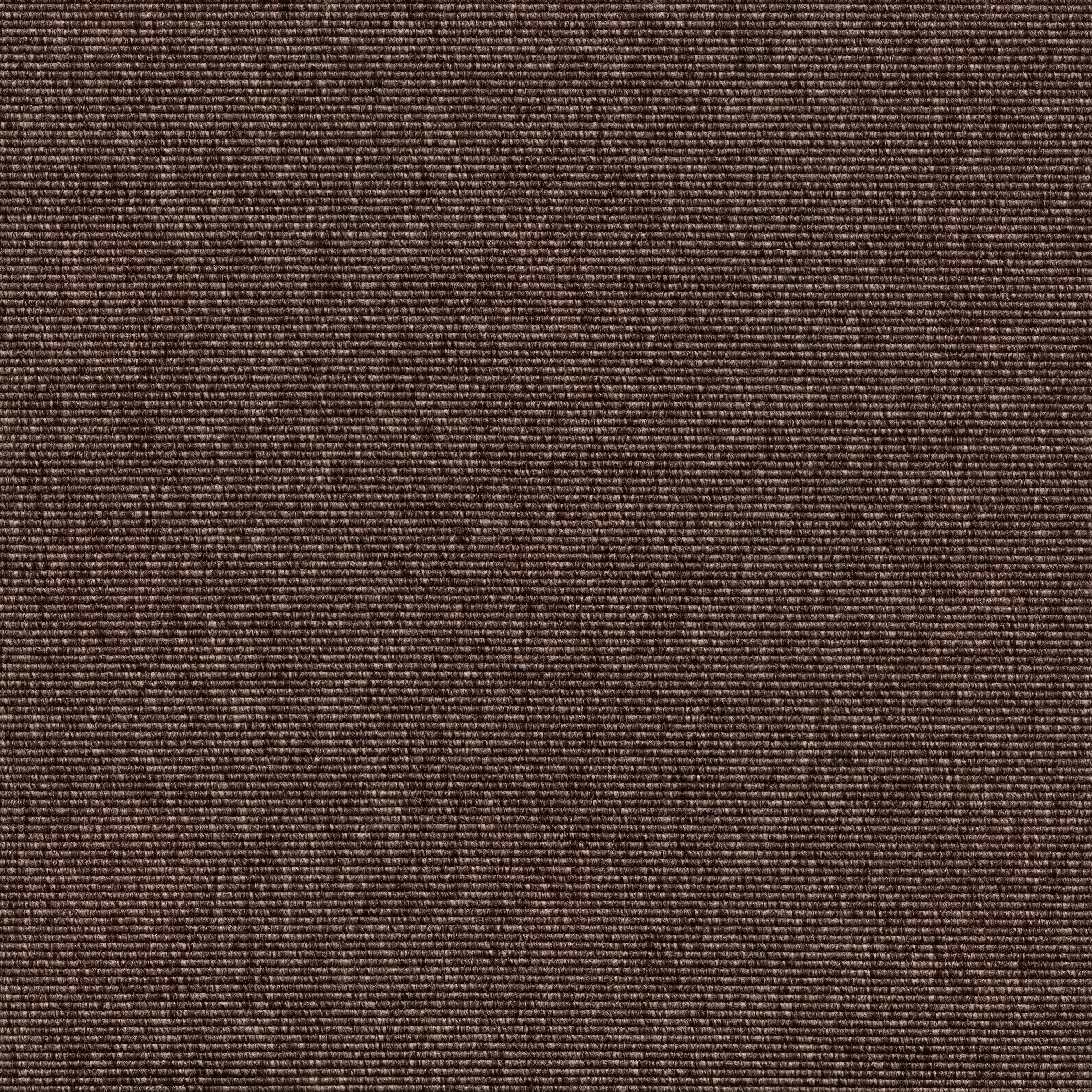 Alfa R+ | Dark Brown 180