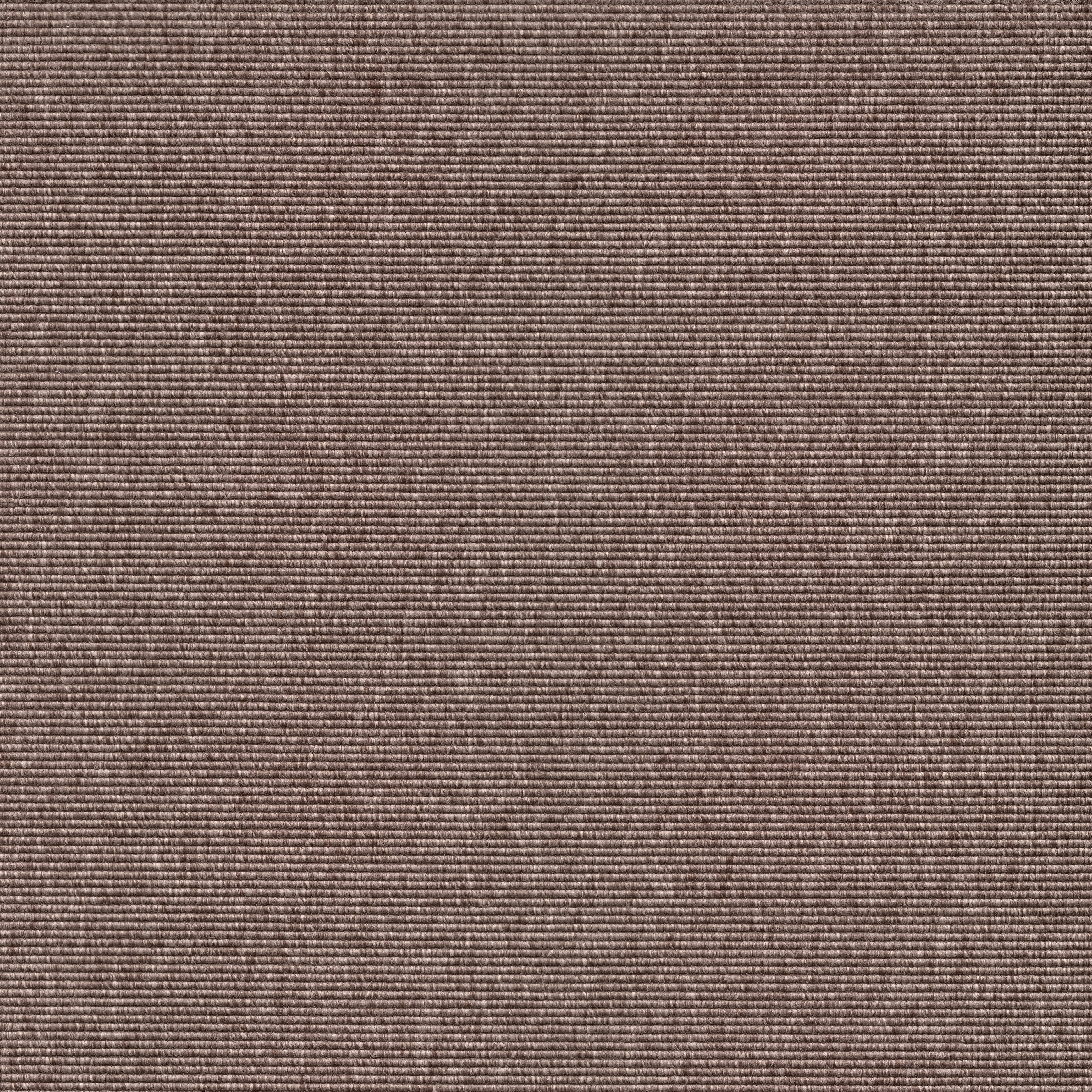 Alfa R+ | Mud Beige 260