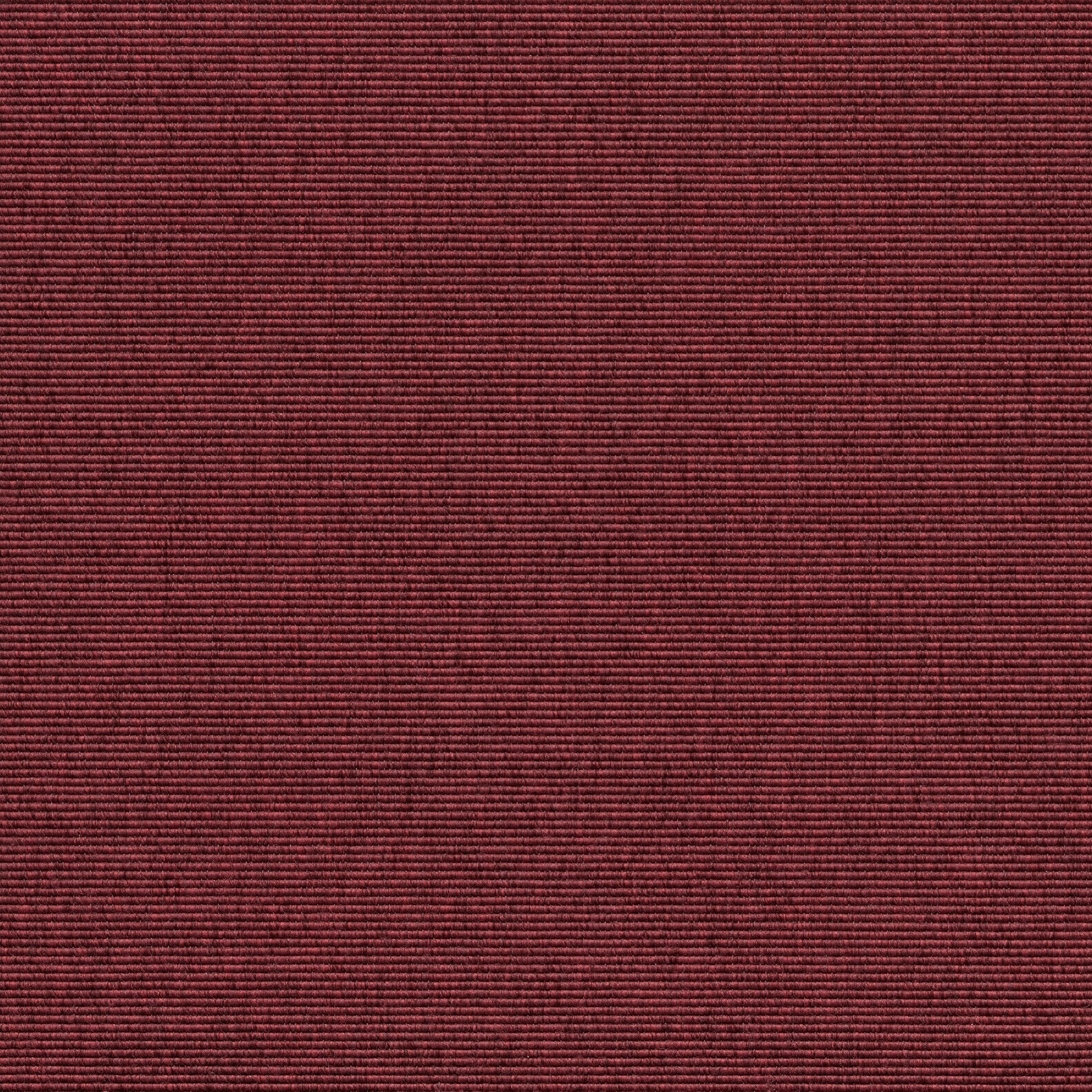 Alfa R+ | Dark Red 490