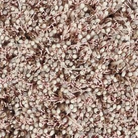 Vertoon produk Tekla | Cotton Candy 861 van vervaardiger Kasthall